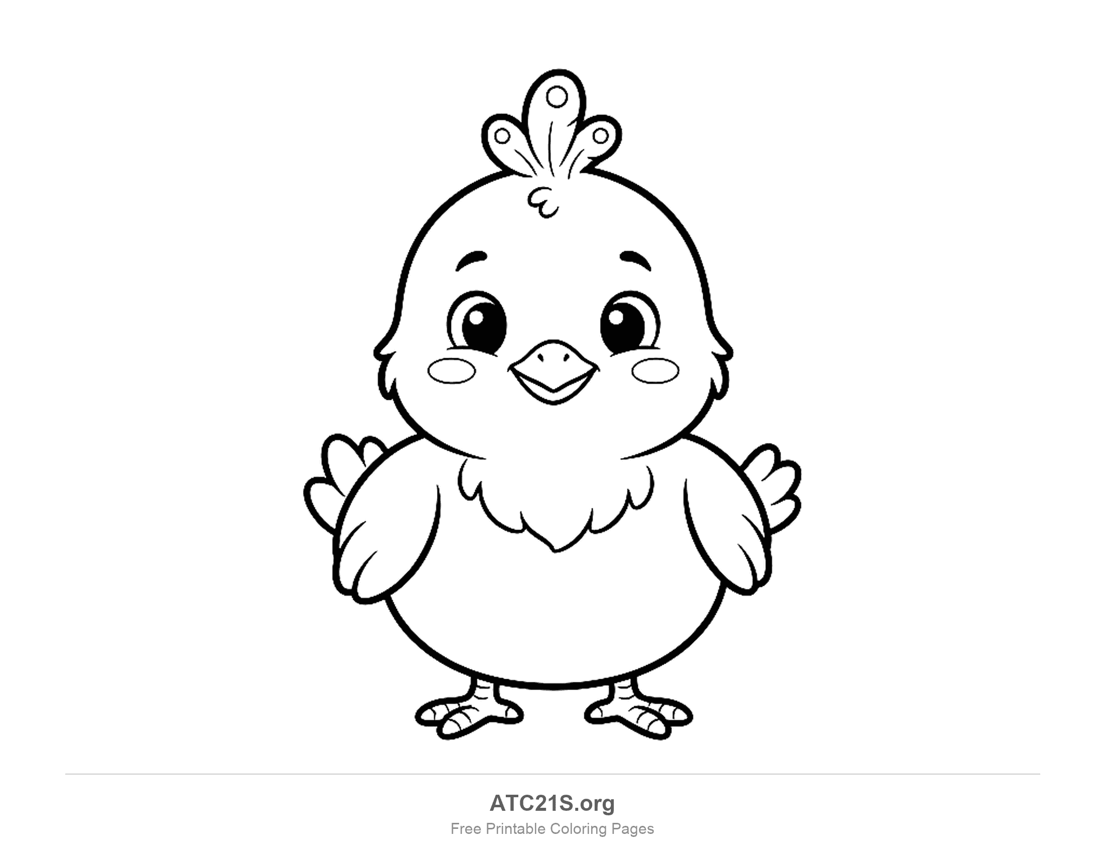 Peacock coloring page