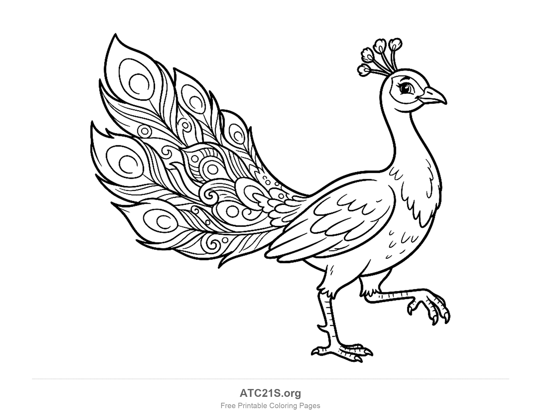 Peacock strutting with one foot lifted and its train raised behind it in decorative swirls and eyespots, coloring page