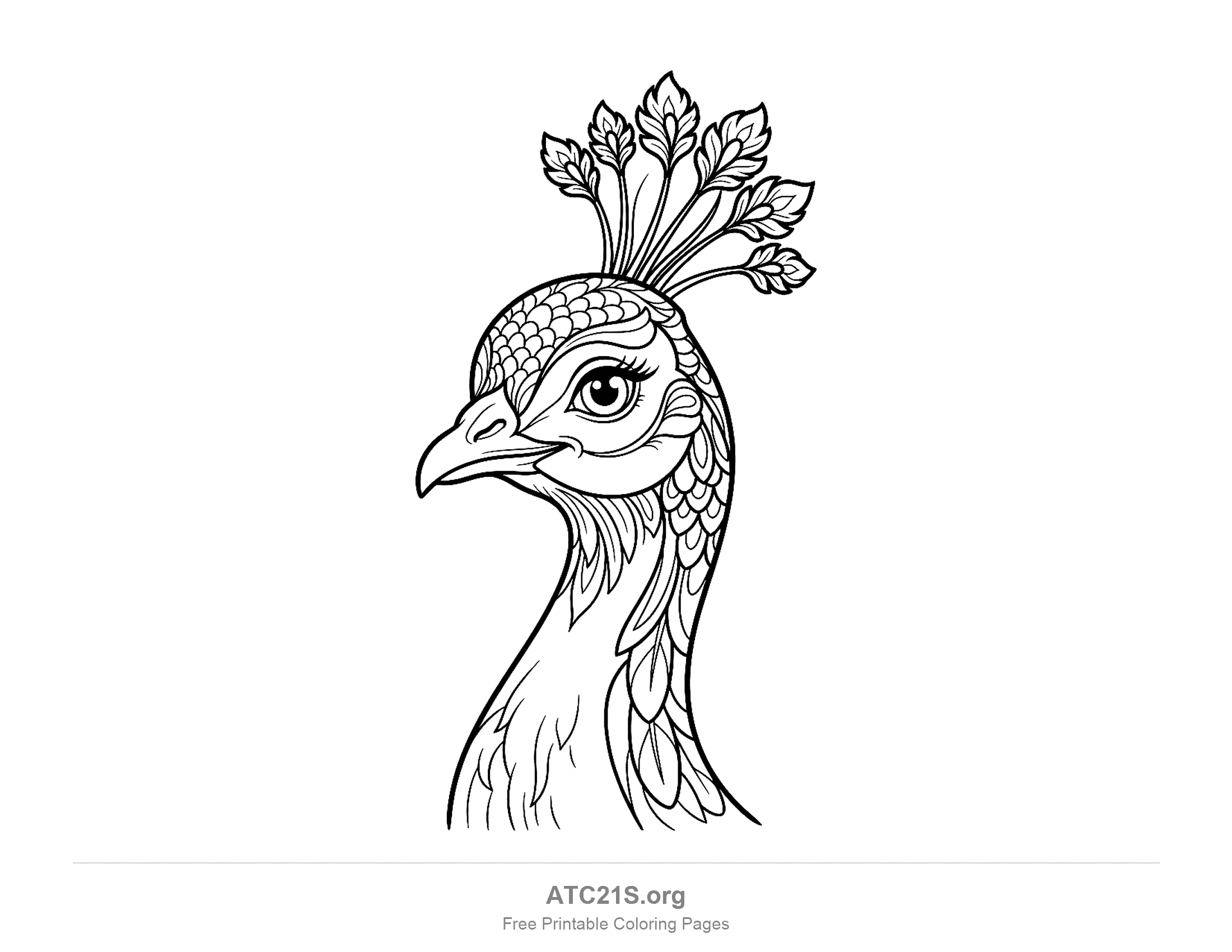 Close-up peacock head in profile with a five-feather crest, a large eye and many small overlapping neck feathers, detailed coloring page