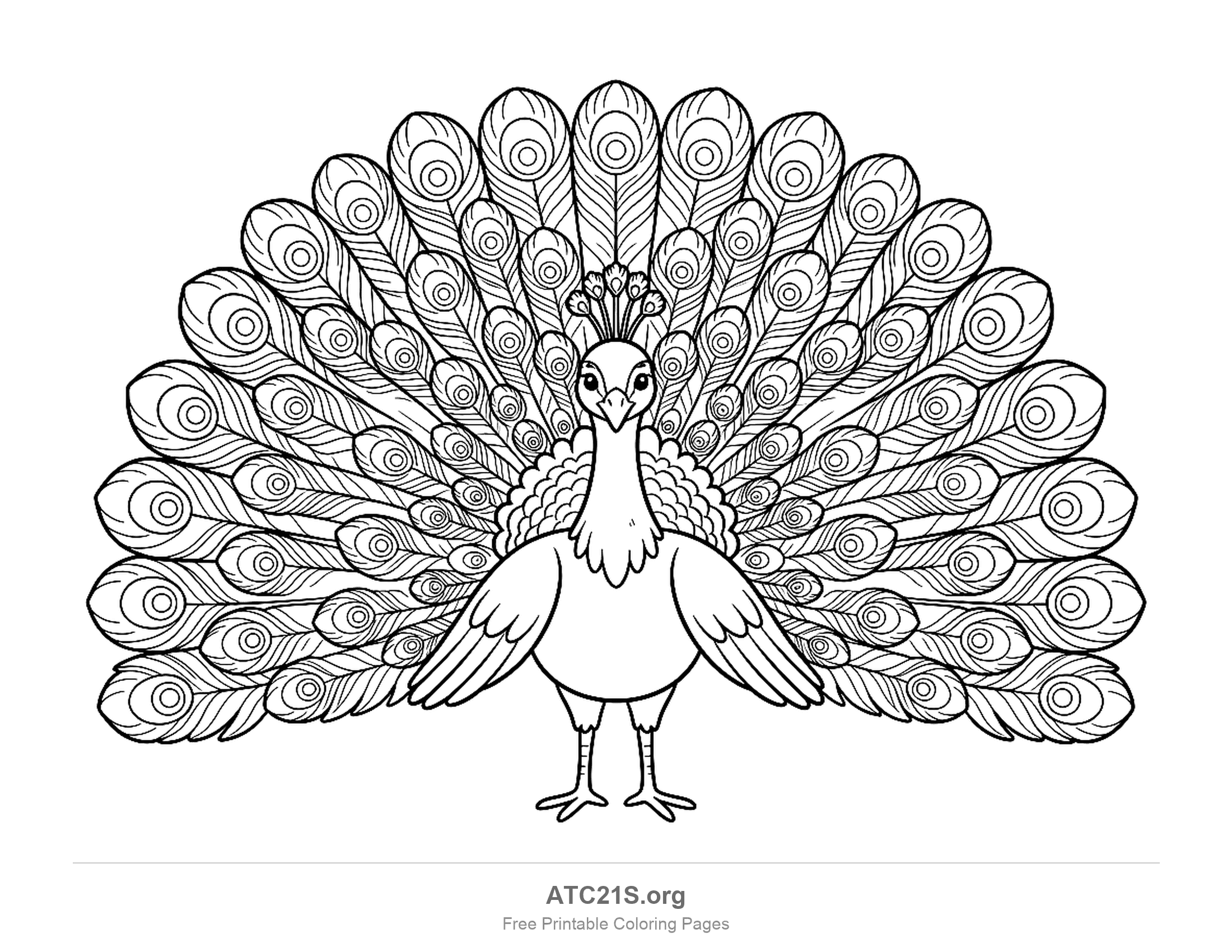 Peacock standing facing forward with a fully fanned train packed with eyespot feathers, detailed coloring page for older kids