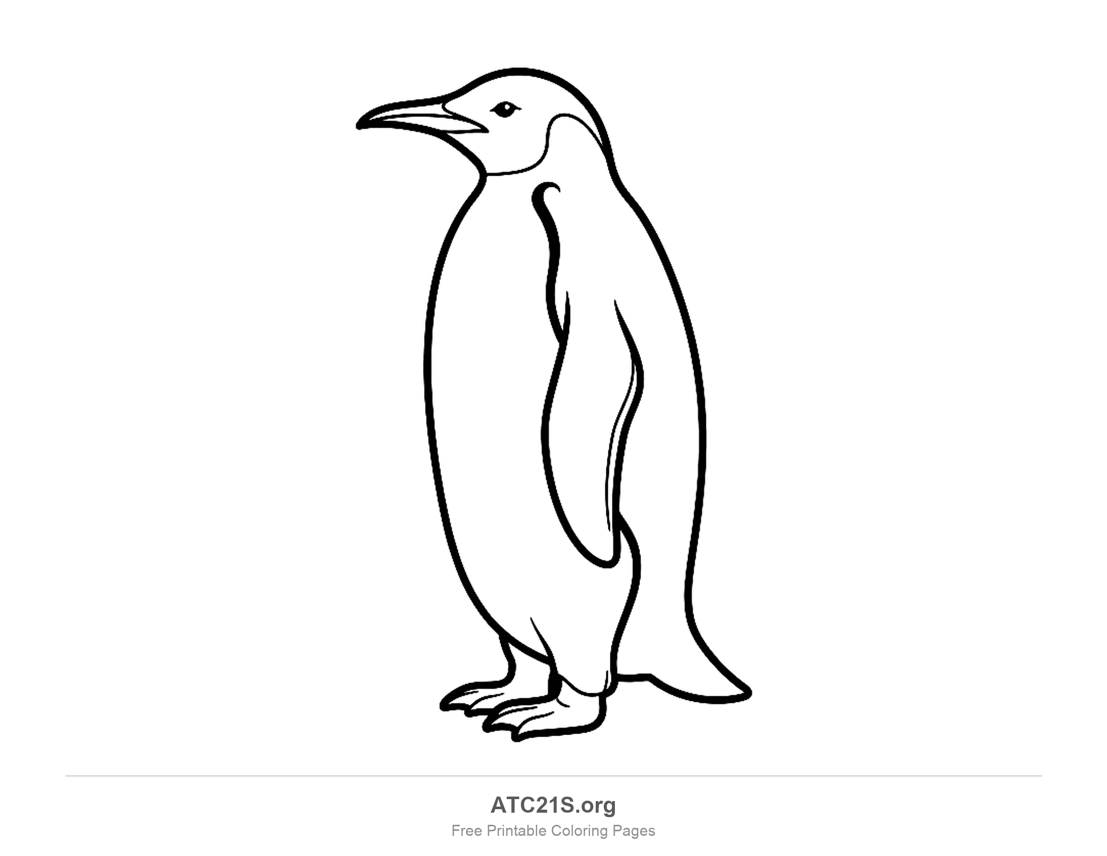 Simple penguin standing in side view with a long beak and clean outlines, easy coloring page for kids