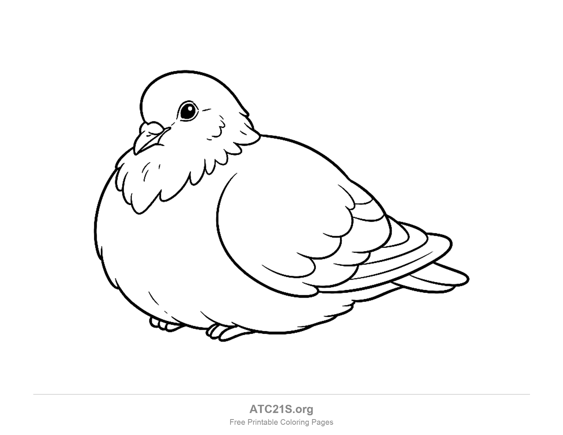 Round roosting pigeon sitting with its feet tucked under a puffed body, a small beak and scalloped wing feathers, simple coloring page for preschoolers