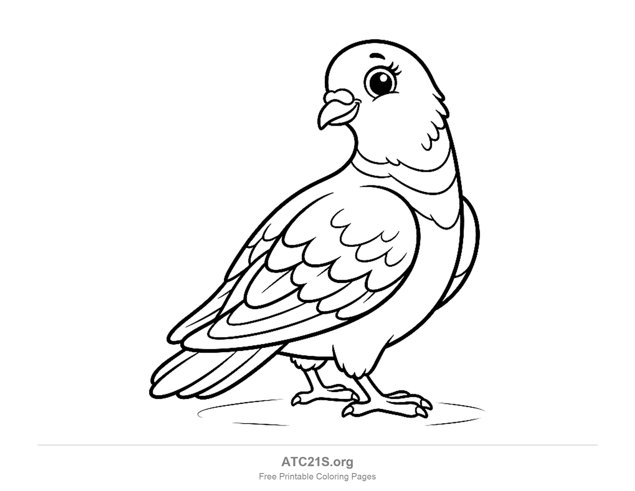 Pigeon standing and looking back over its shoulder toward the viewer, with layered wing feathers and a neck ruff, coloring page