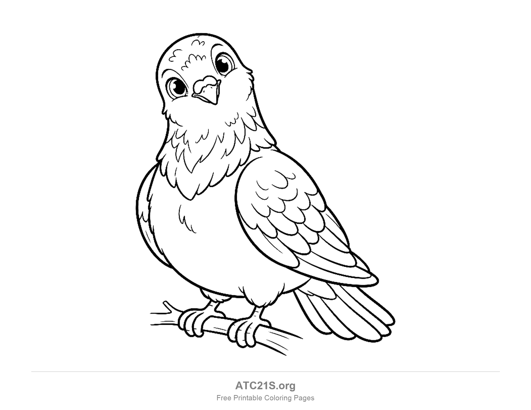 Pigeon perched on a branch looking up with big curious eyes and a slightly tilted head, scalloped wing feathers, coloring page