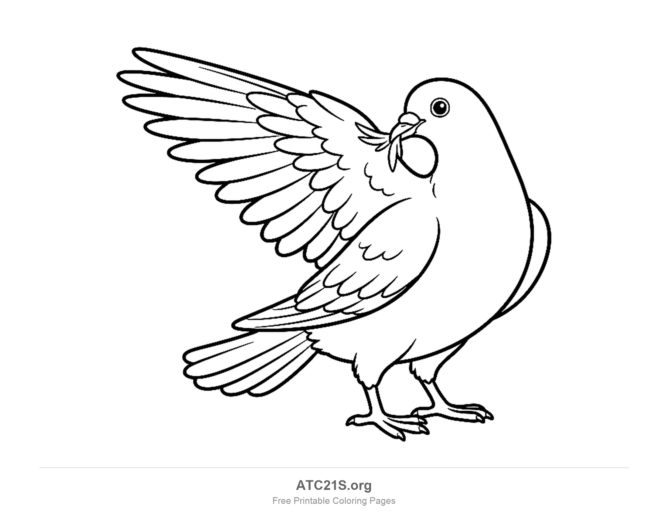 Pigeon standing with one wing raised high and a leafy sprig in its beak, individual flight feathers drawn in, coloring page