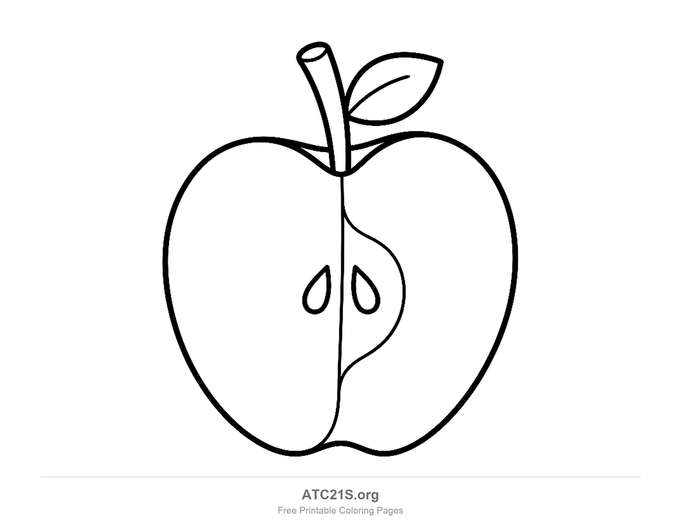 Apple cut in half from top to bottom with the core outline and two teardrop seeds showing, coloring page to print