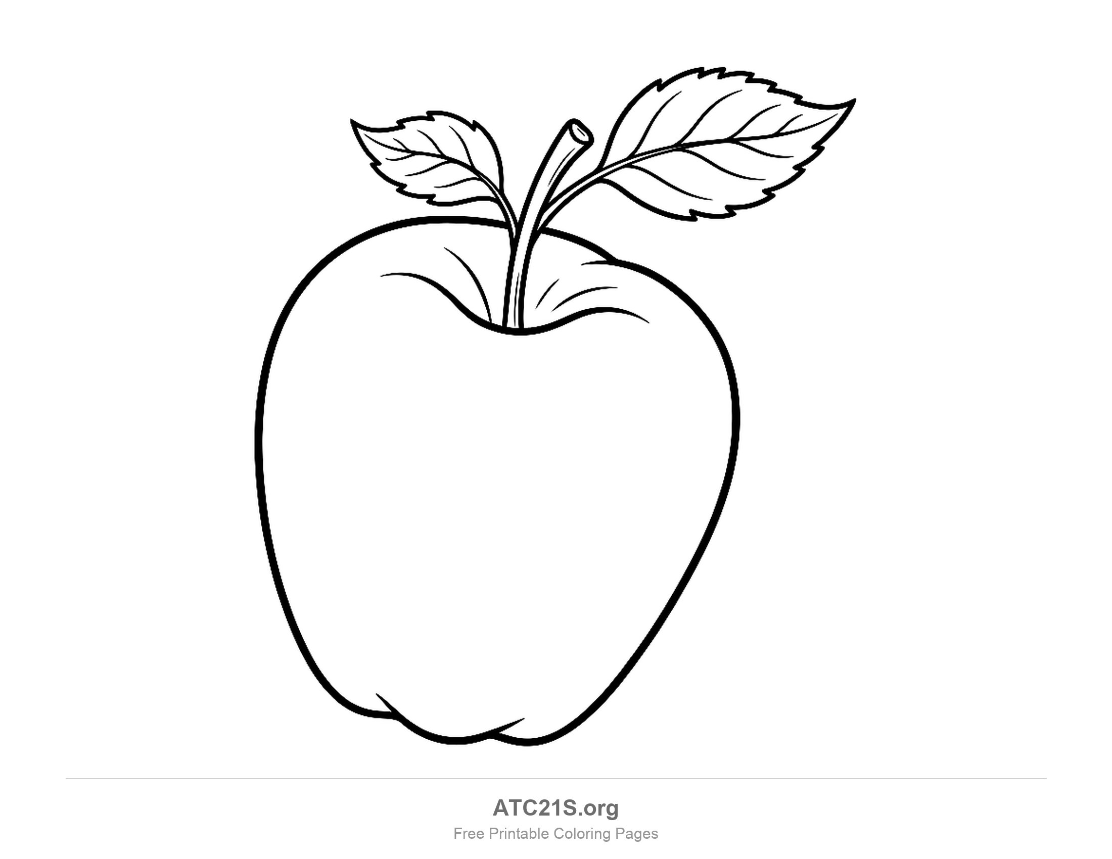 Tall tilted apple with a woody stalk and two serrated leaves whose veins are drawn one by one, finely detailed coloring page