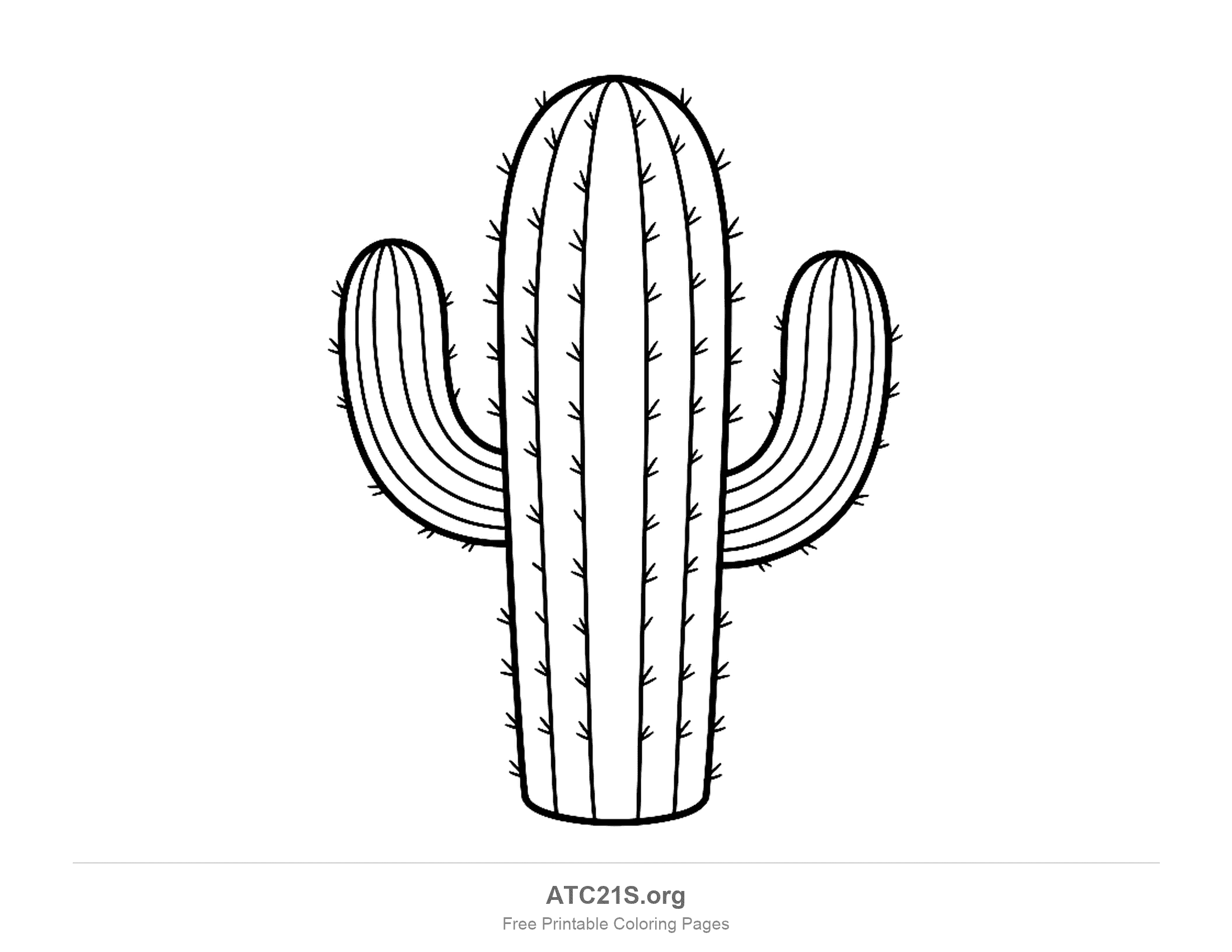 Tall two-armed saguaro with narrow ribs running down the trunk and arms and neat rows of spines along every rib, printable desert cactus coloring page