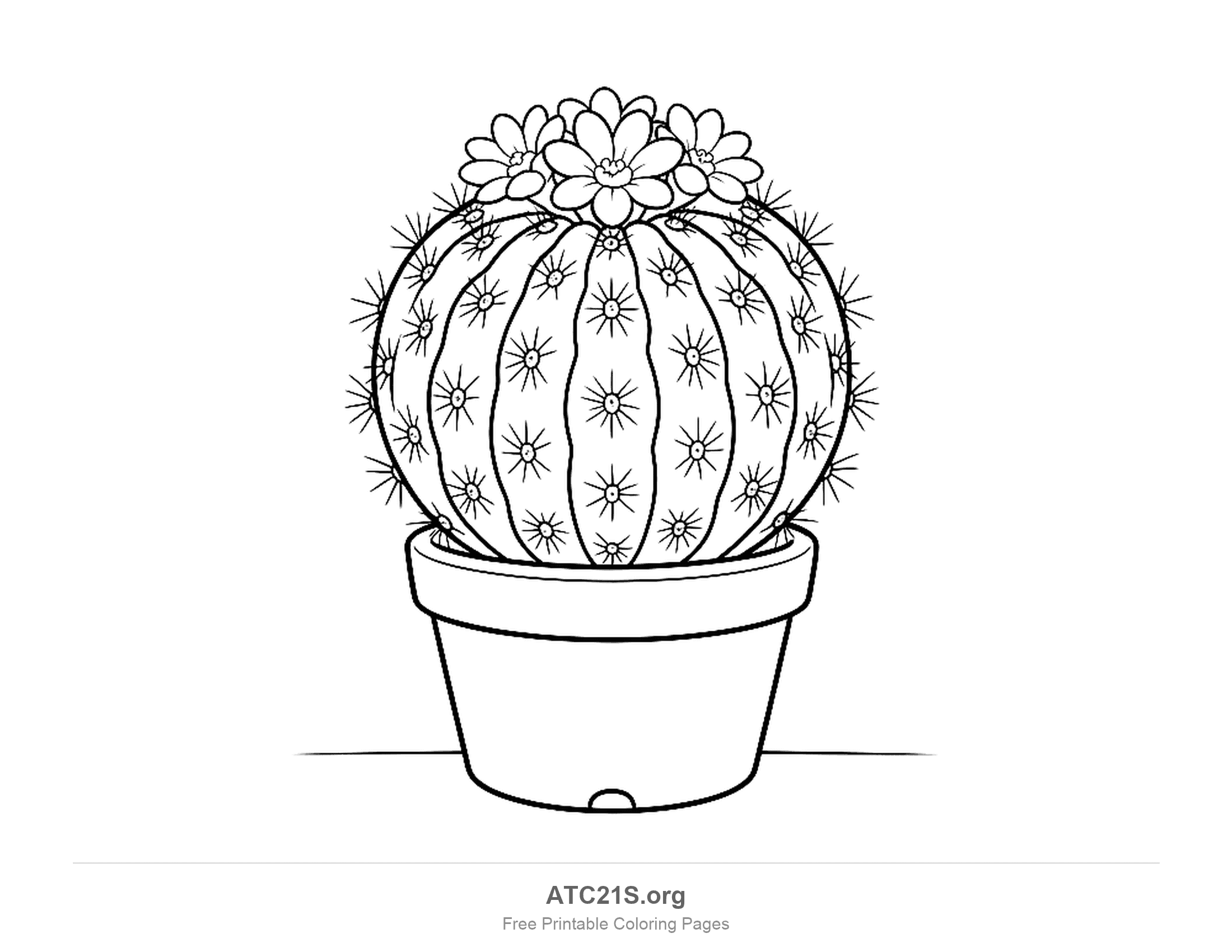 Round ribbed cactus in a flowerpot, every rib covered in star-shaped spine clusters, with a crown of three flowers on top, detailed potted cactus coloring page