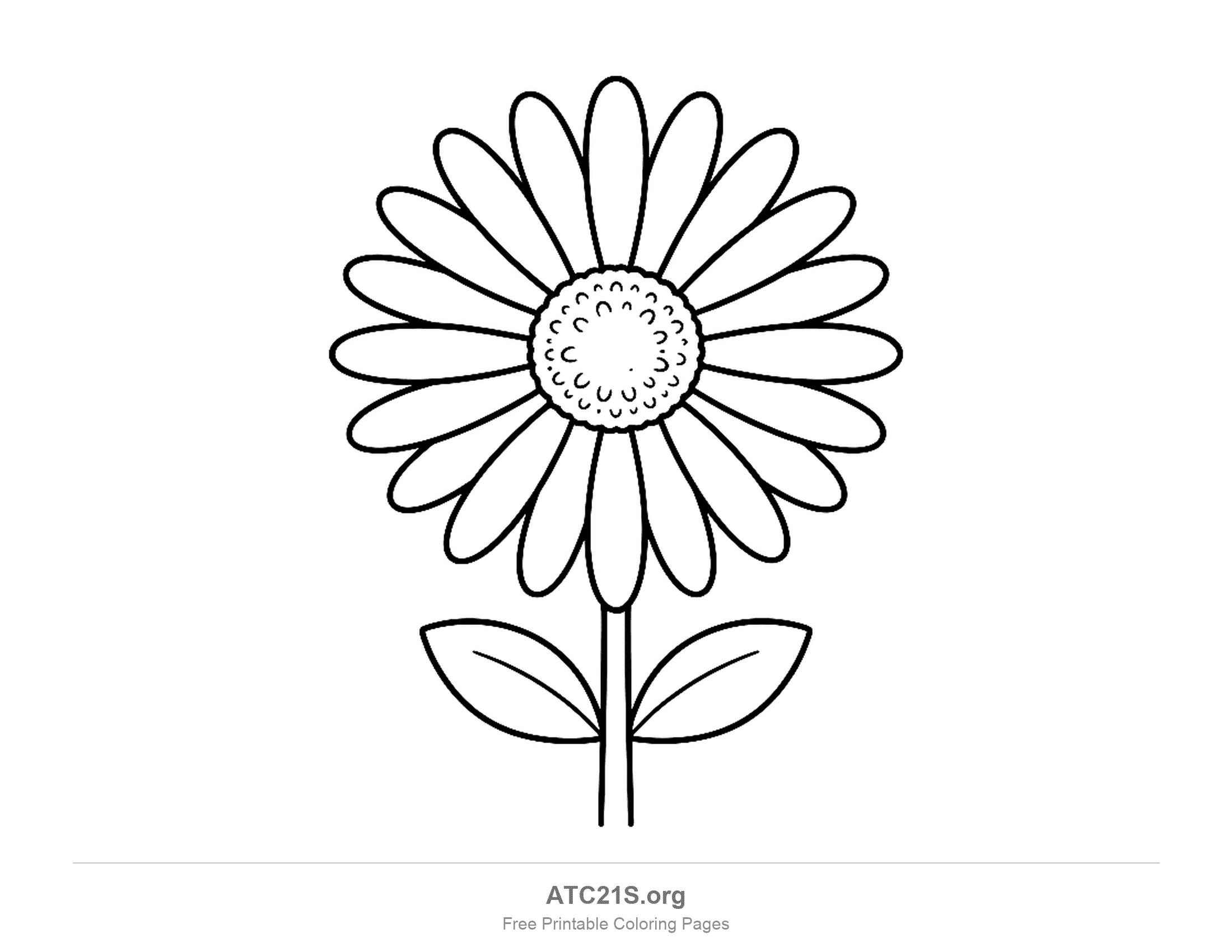 Upright daisy with one ring of plain rounded petals, a frilly centre edged with small curls, a straight stem and two simple leaves, easy flower coloring page for preschoolers
