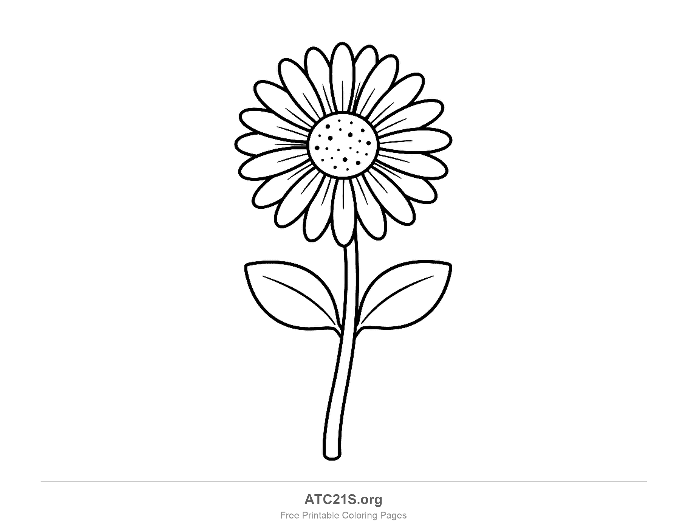 Small daisy with a dotted centre on a tall, slightly bending stem with two broad leaves halfway up, simple daisy coloring page for kids