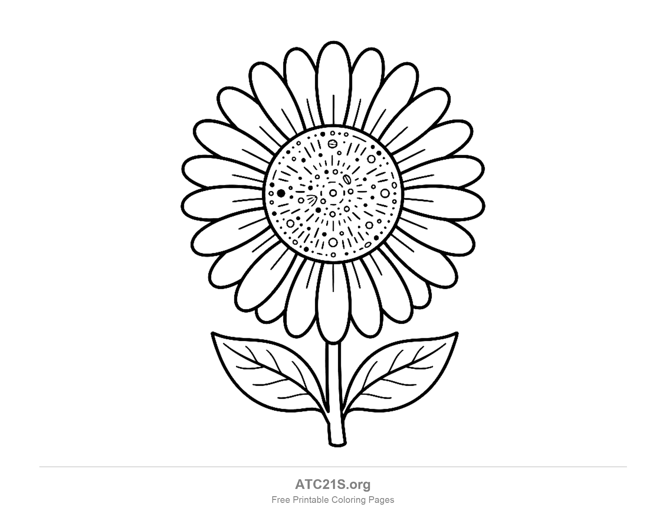 Daisy with a large centre disc filled with dots, dashes and tiny seed shapes, creased petals and two big veined leaves, detailed daisy coloring page