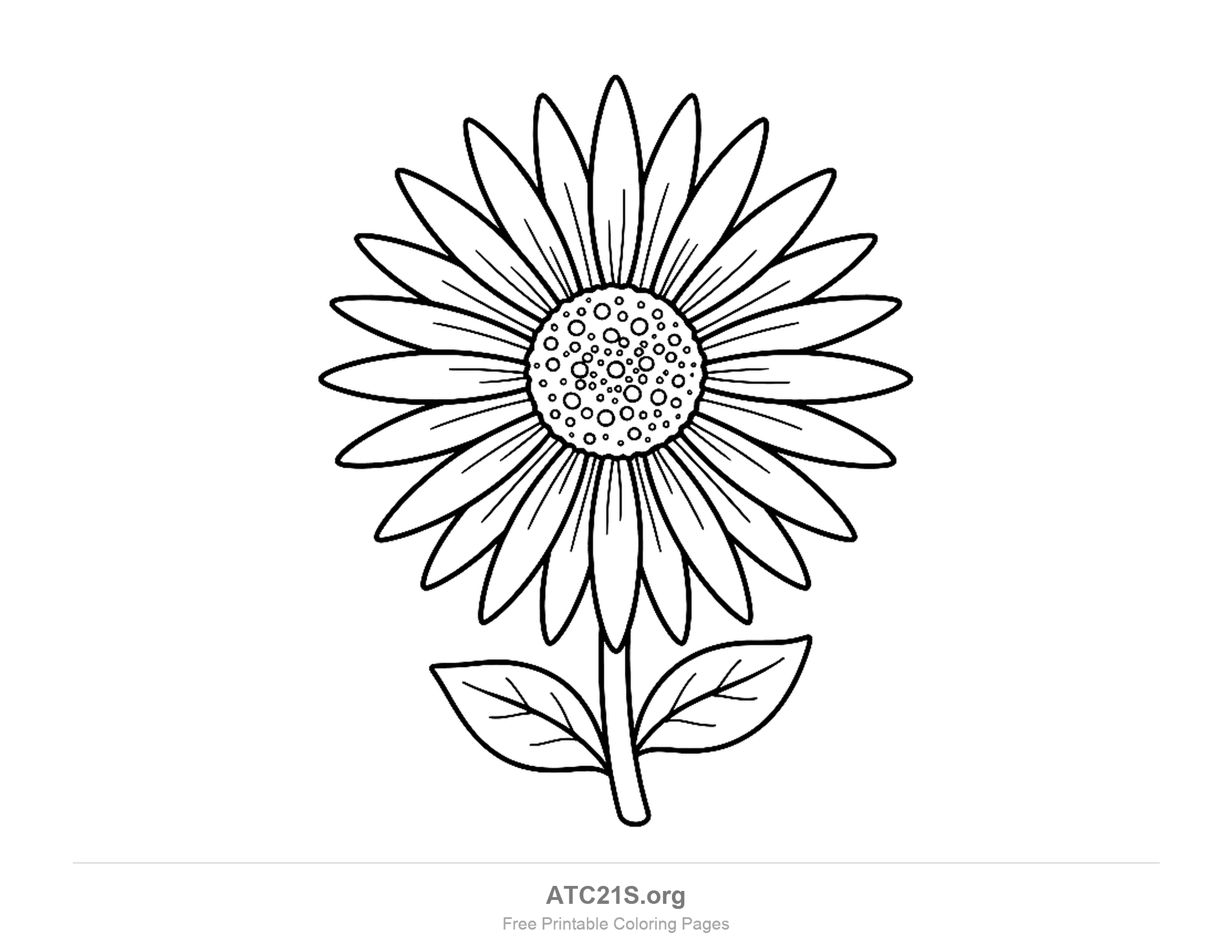 Daisy with dozens of long, slender, pointed petals around a centre packed with small circles, on a short stem with two veined leaves, detailed coloring page for older kids
