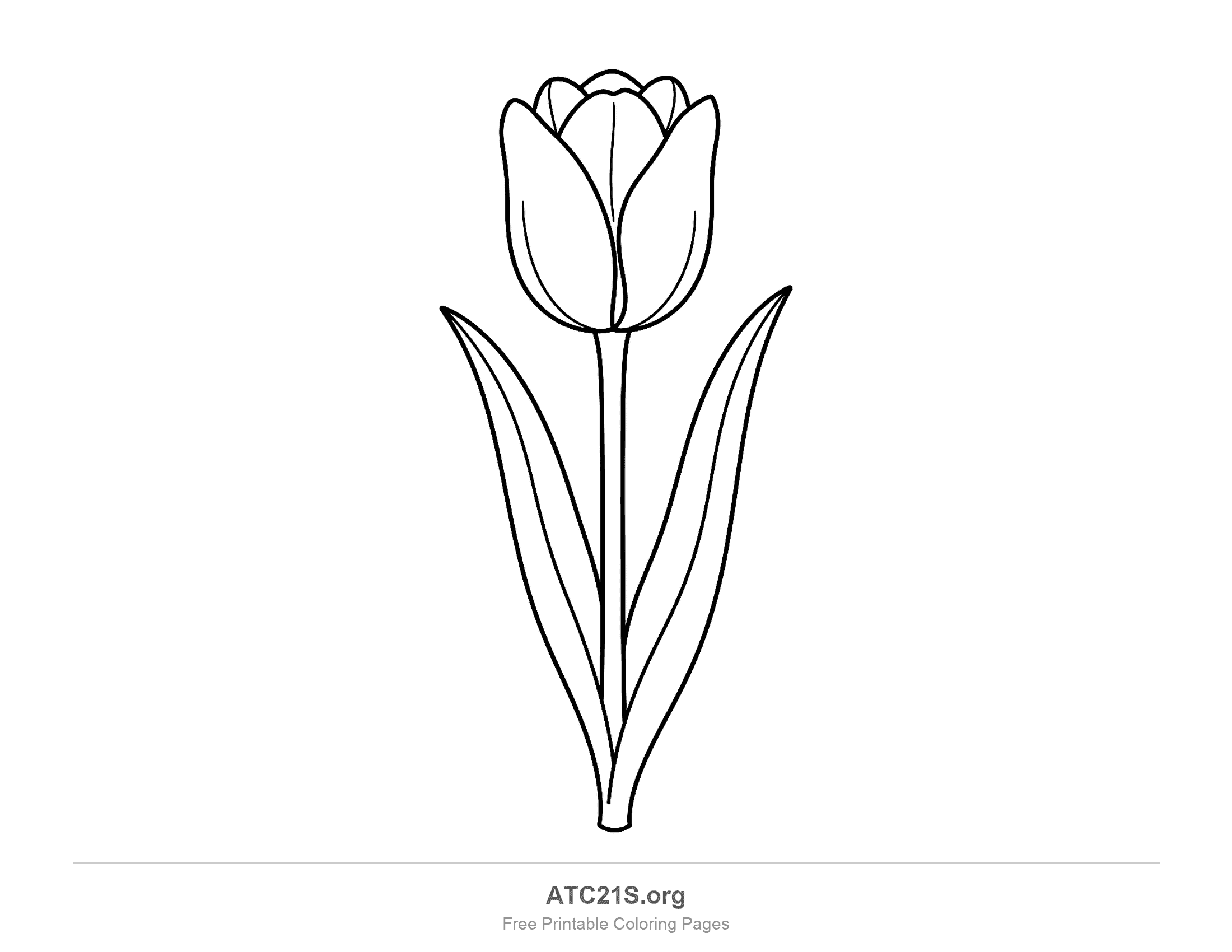 Tall tulip with a closed cup-shaped bloom on a straight stem between two long pointed leaves, simple flower coloring page for preschoolers