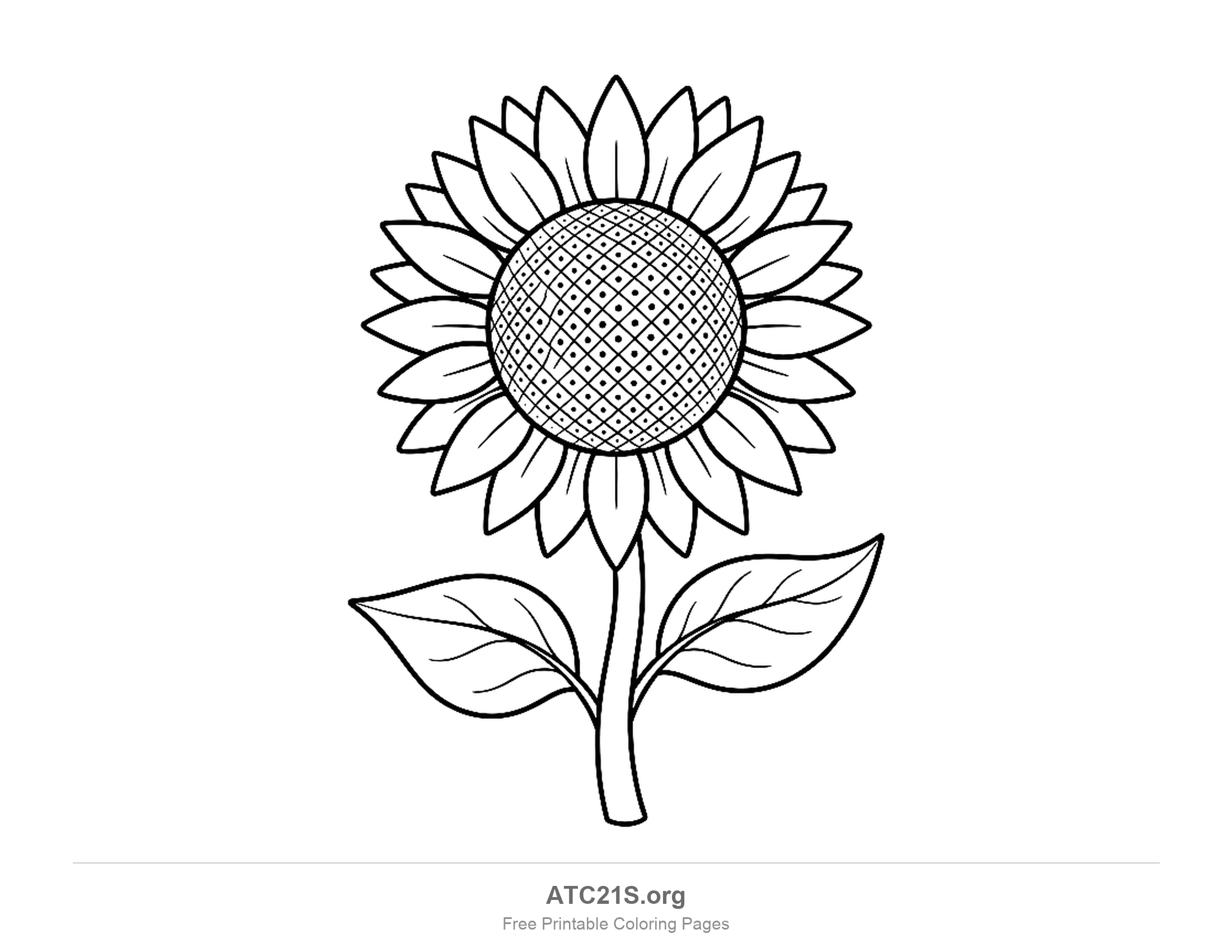 Sunflower with two rings of pointed petals, a criss-cross seed head filled with tiny dots and two large veined leaves, detailed flower coloring page for older kids