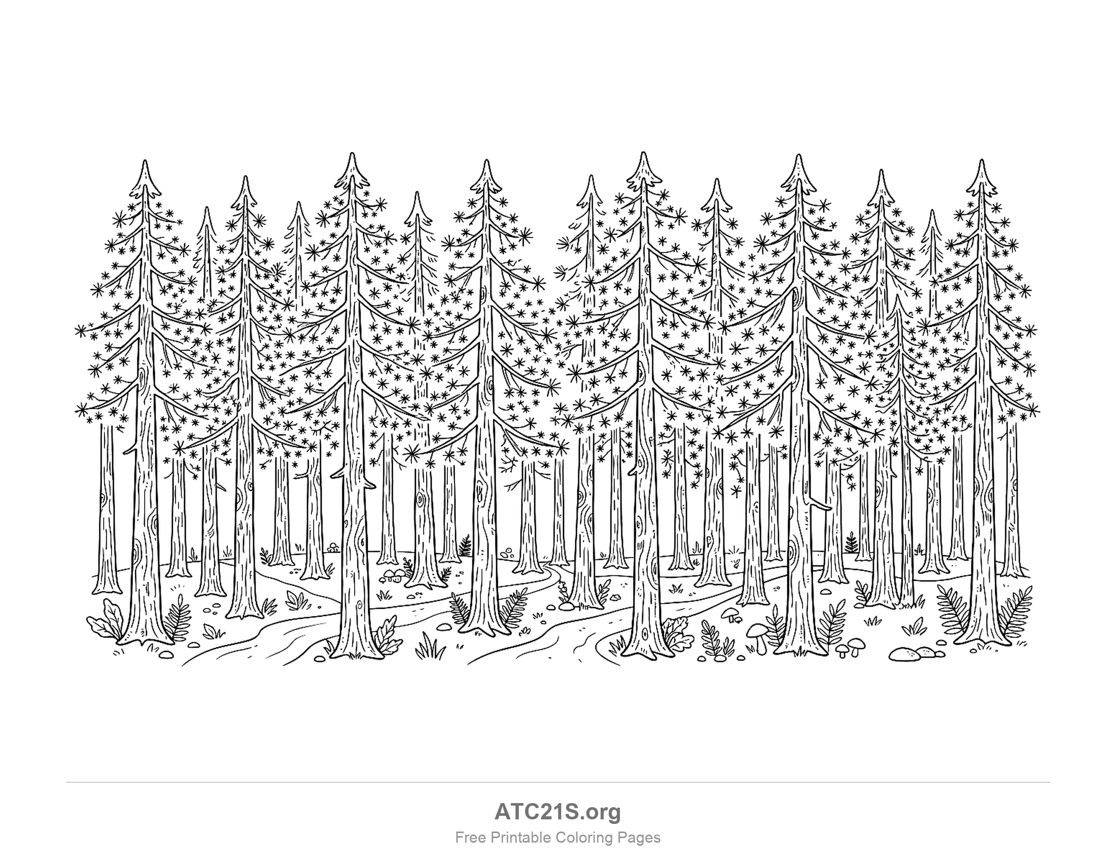 Stand of tall straight pine trees with starburst needles on drooping branches and a trail winding between the trunks past mushrooms, ferns and pebbles, pine forest coloring page for school-age kids