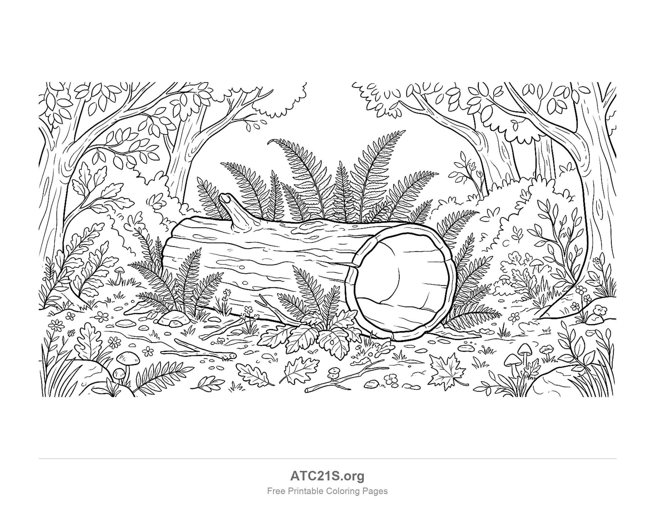 Hollow fallen log lying across the forest floor with its open end facing forward, ferns sprouting around it, toadstools, oak and maple leaves and twigs on the ground and tree trunks framing the scene, detailed forest coloring page
