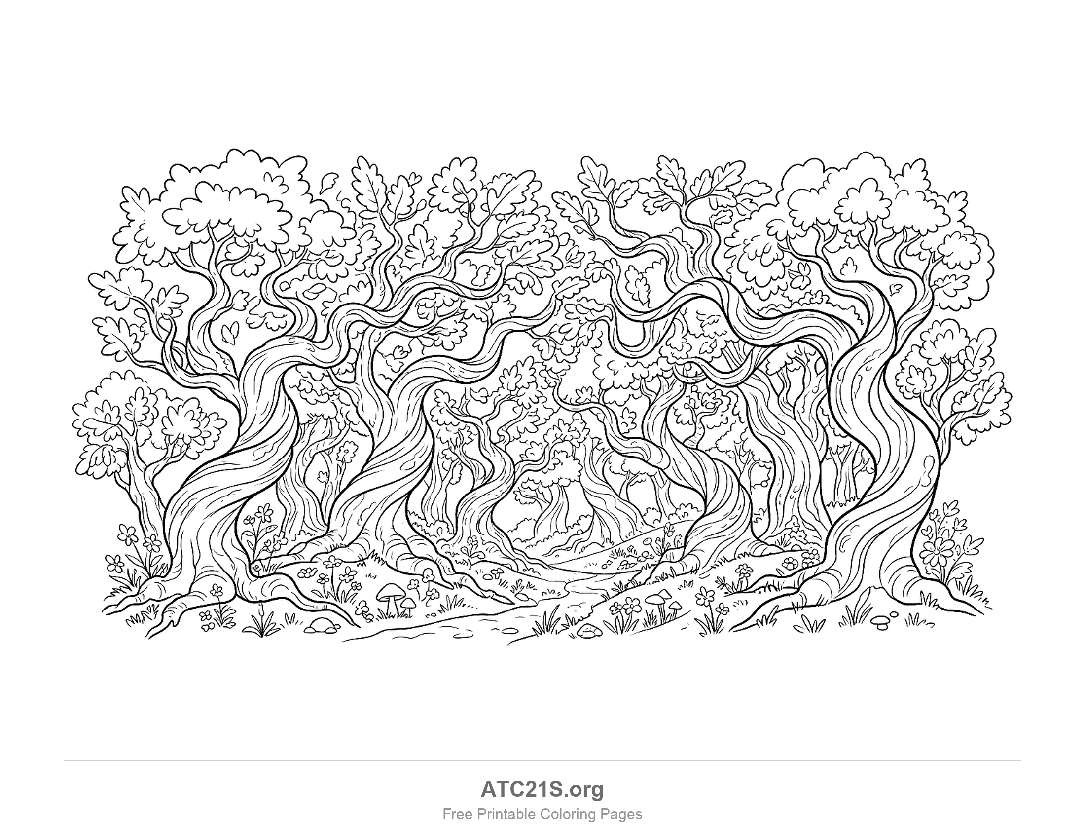 Old gnarled oak trees with twisting rope-like trunks tangling into a canopy of leaves, a path leading back into the woods and mushrooms and flowers at their roots, detailed forest coloring page for older kids