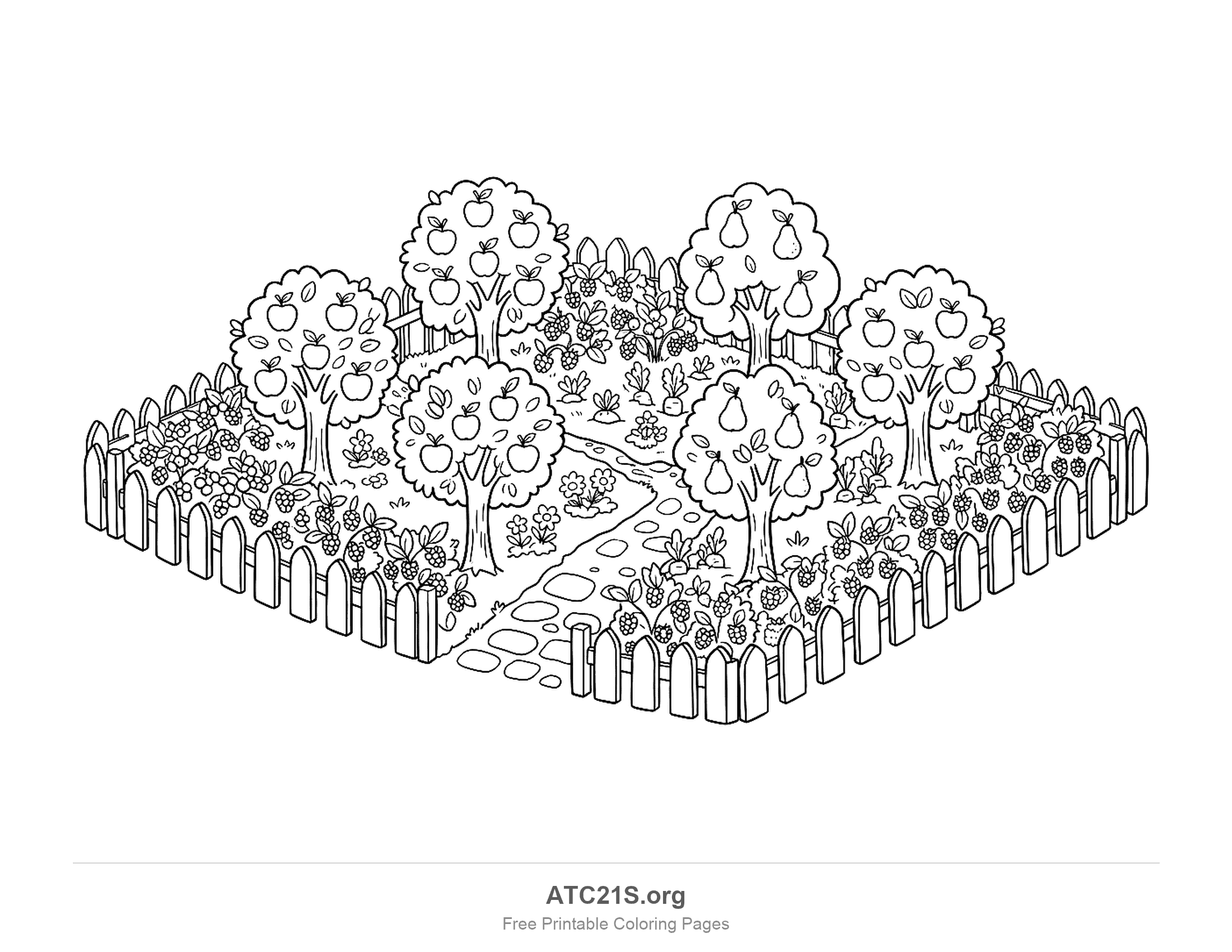 Fruit orchard inside a picket fence with four apple trees, two pear trees, berry bushes and a winding stepping-stone path, printable garden coloring page