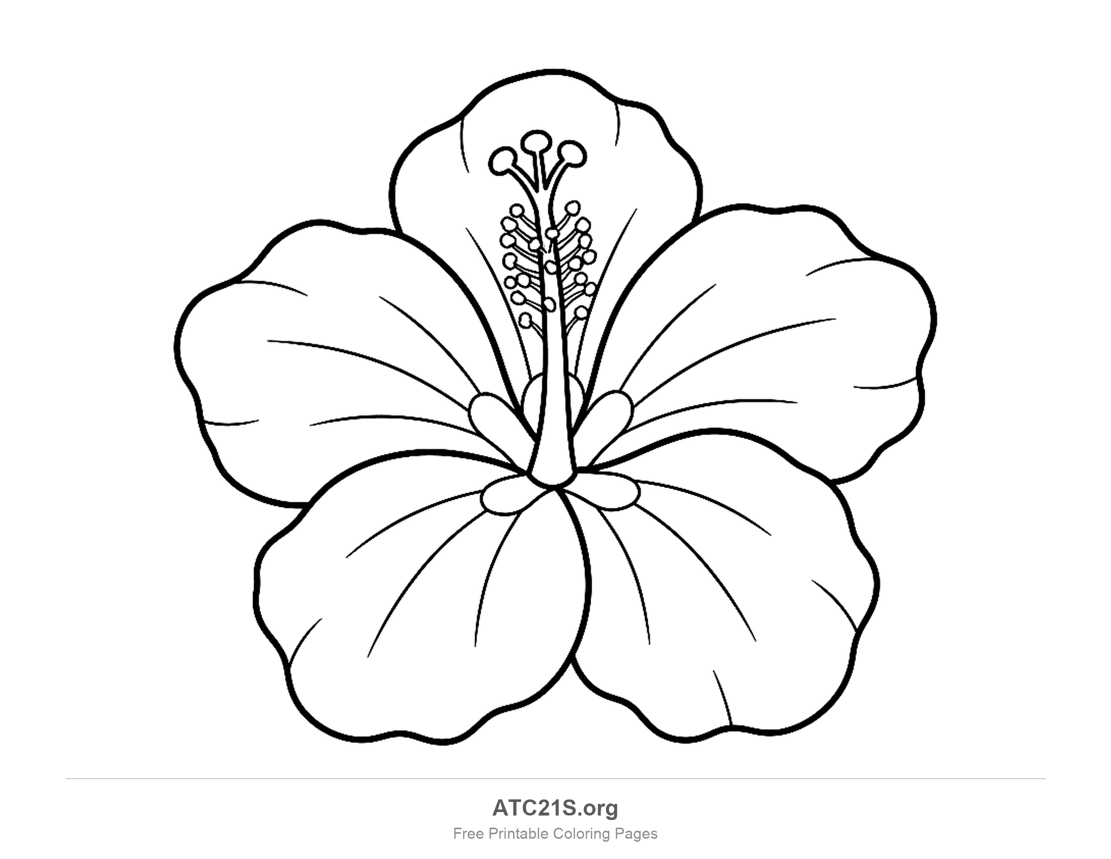 Hibiscus coloring page