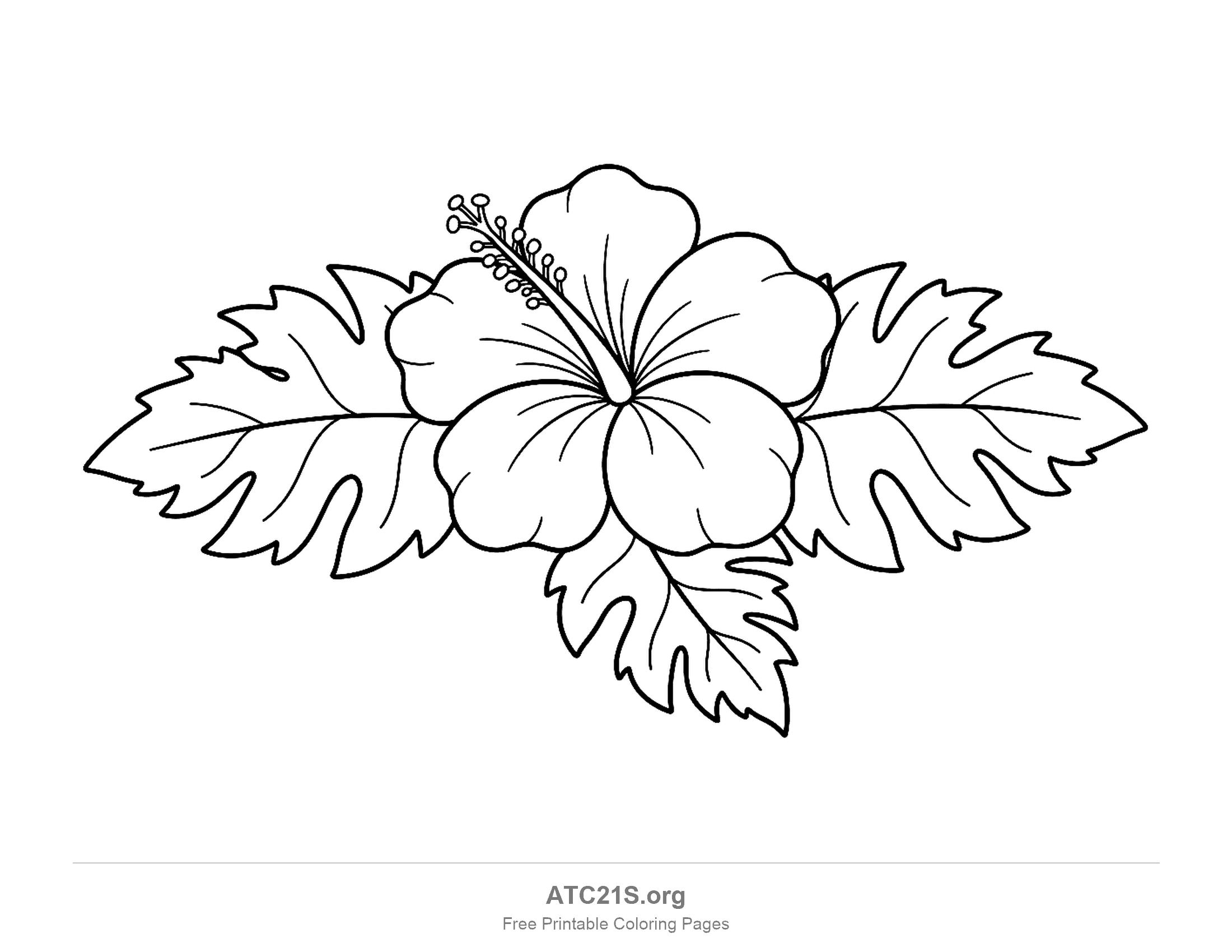 Hibiscus flower resting on three large jagged, deeply notched tropical leaves that stretch across the page, Hawaiian-style flower coloring page