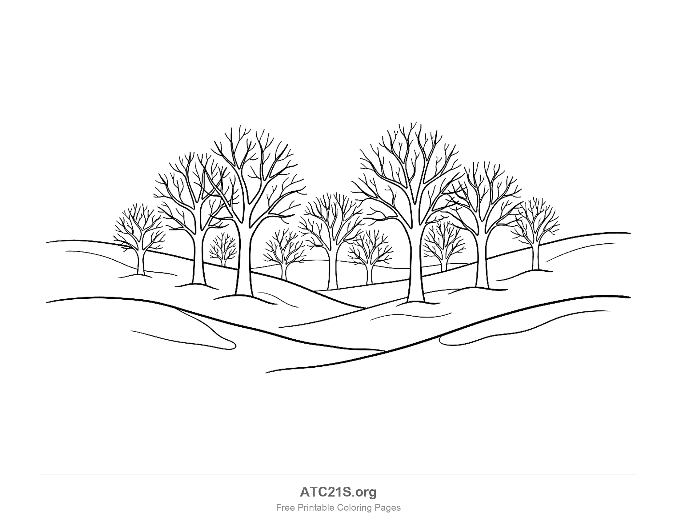 Row of bare leafless winter trees on soft snowy hills, big trees in front and smaller ones behind, with sweeping snowdrifts below, easy winter landscape coloring page for kids