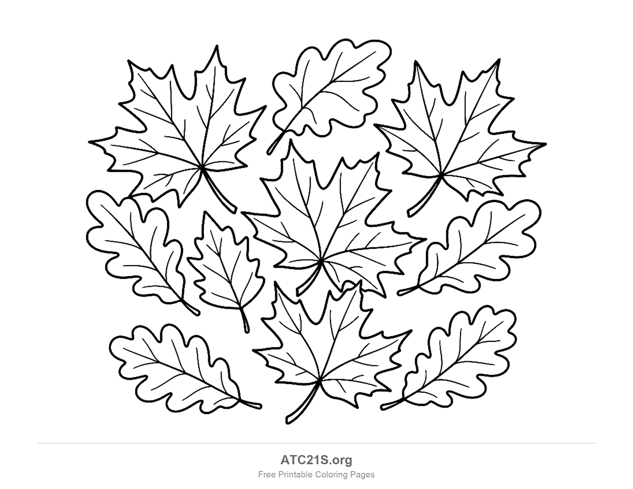 Leaf coloring page