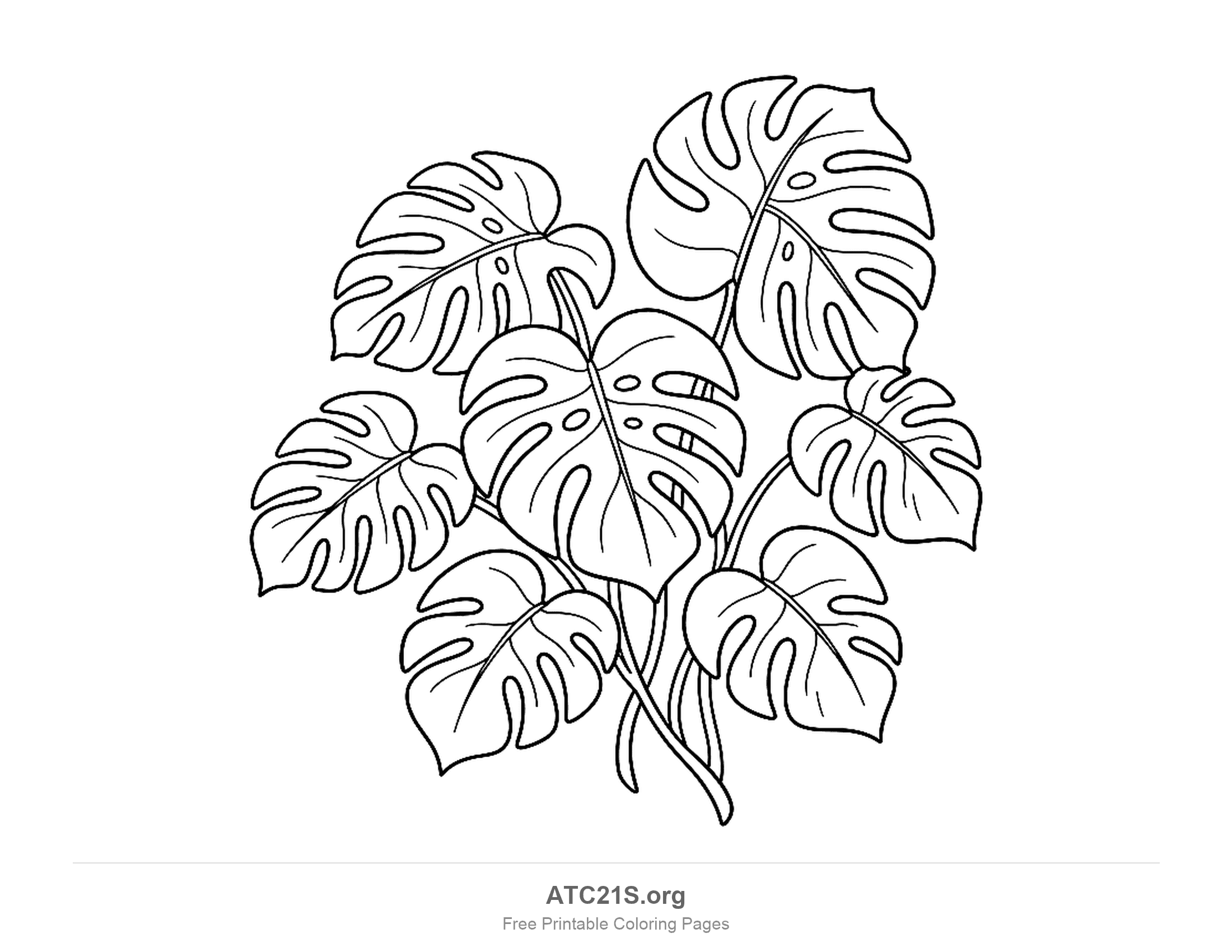Seven big heart-shaped monstera leaves with deep splits and oval holes on long curving stalks, tropical leaf coloring page for kids