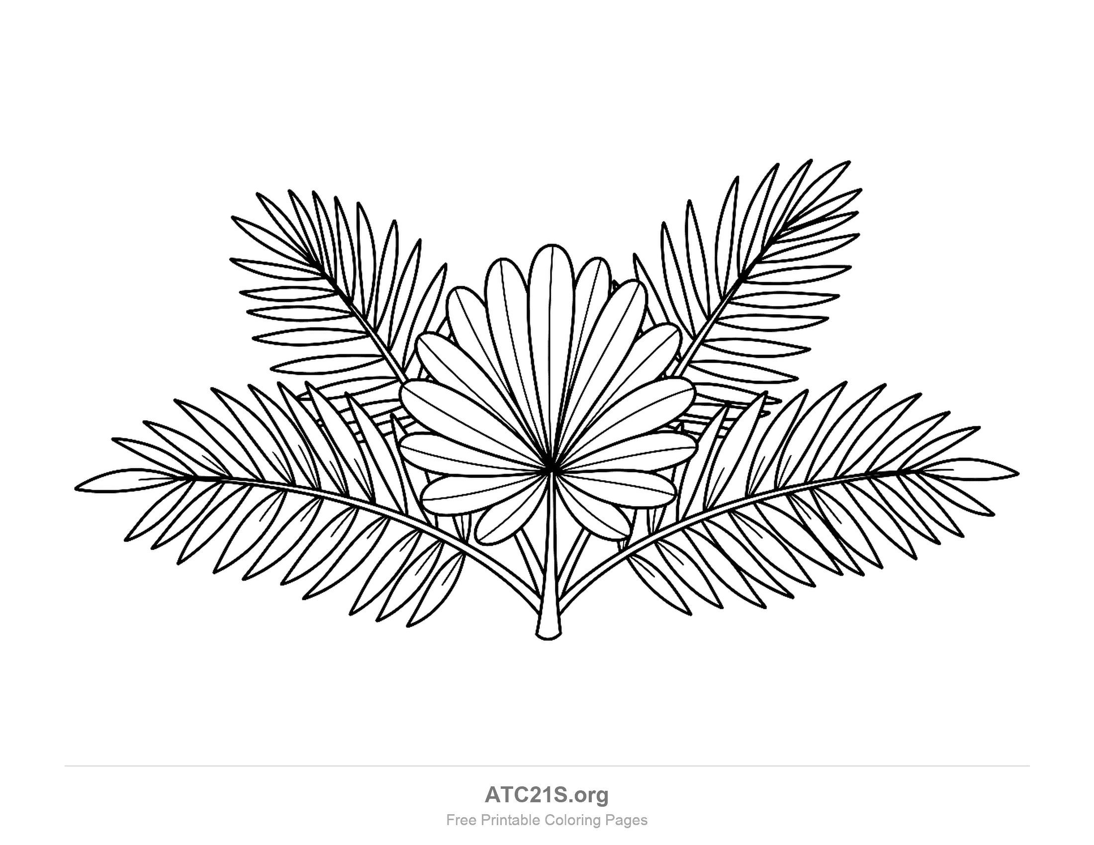 Four feathery palm fronds lined with narrow pointed leaflets spreading behind a fan-shaped leaf of rounded segments, tropical leaf coloring page