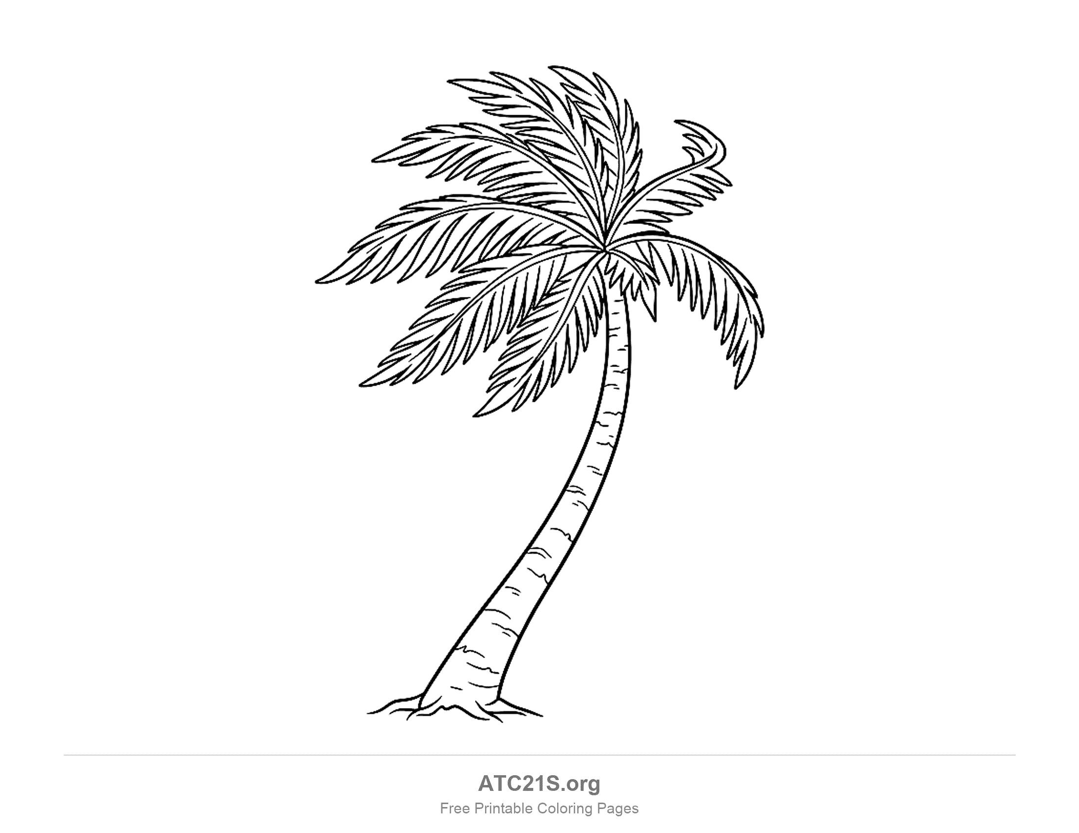 Tall slender palm tree leaning in the wind with its feathery fronds blown to one side and roots gripping the sand, printable beach palm coloring page