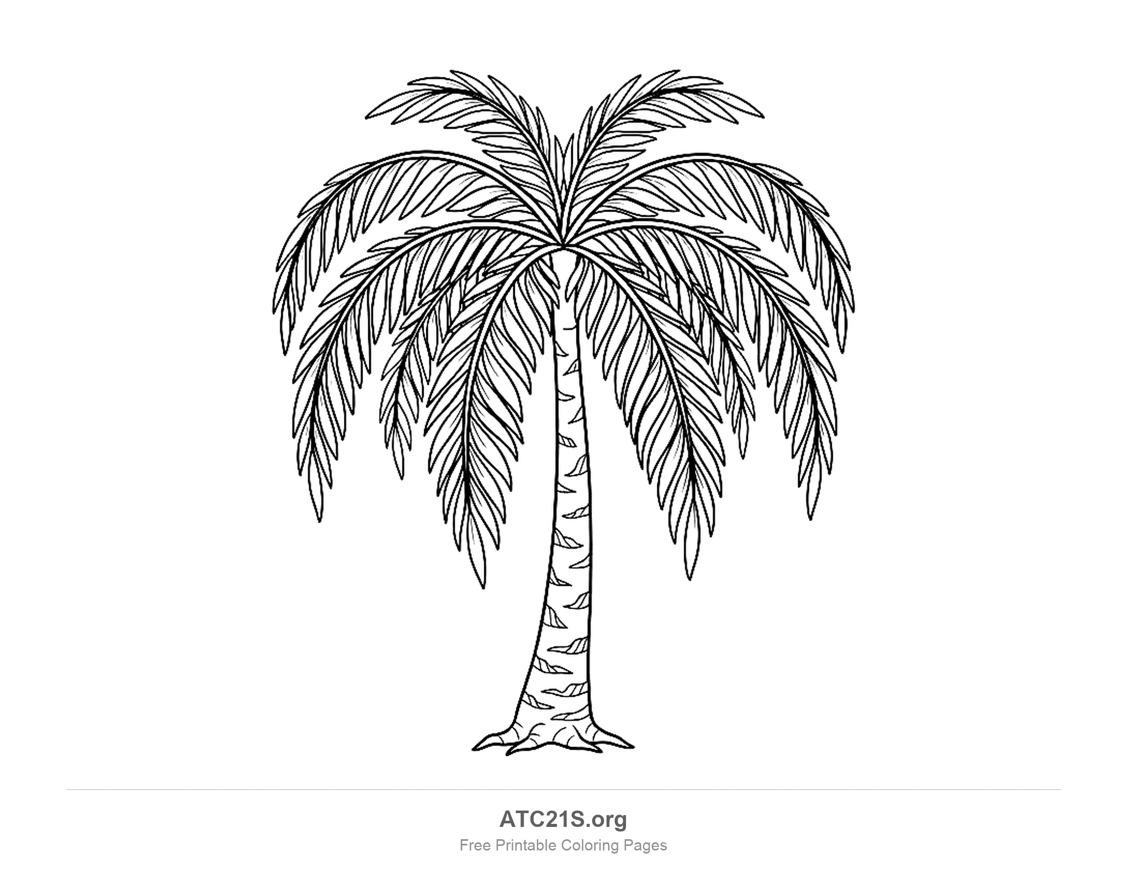 Palm tree with long fronds arching up and hanging down like a fountain, each lined with narrow leaflets, on a thin textured trunk with flared roots, palm tree coloring page