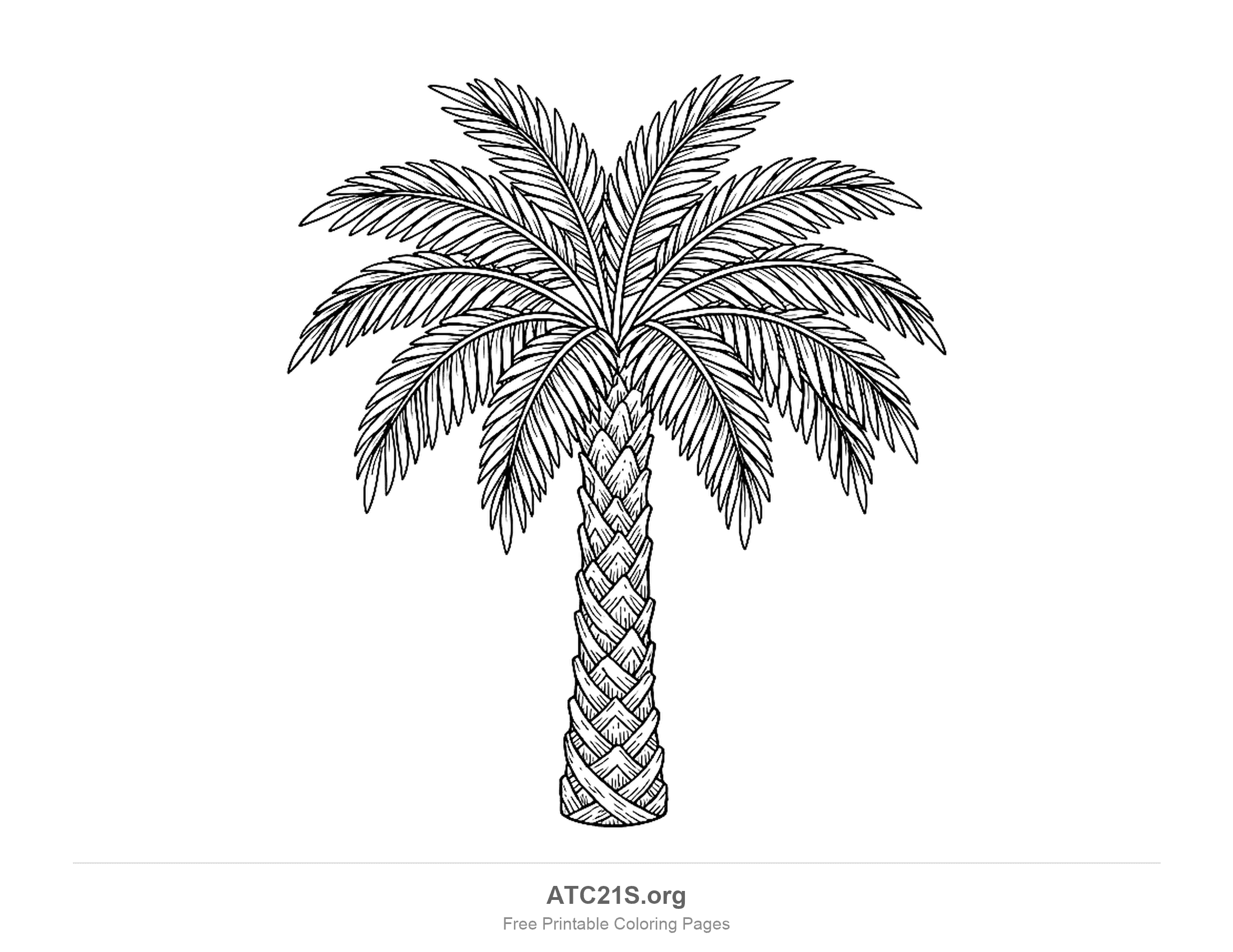 Palm tree with a dense crown of finely lined feathery fronds and a trunk covered in a criss-cross pattern of overlapping diamonds, detailed palm tree coloring page for older kids