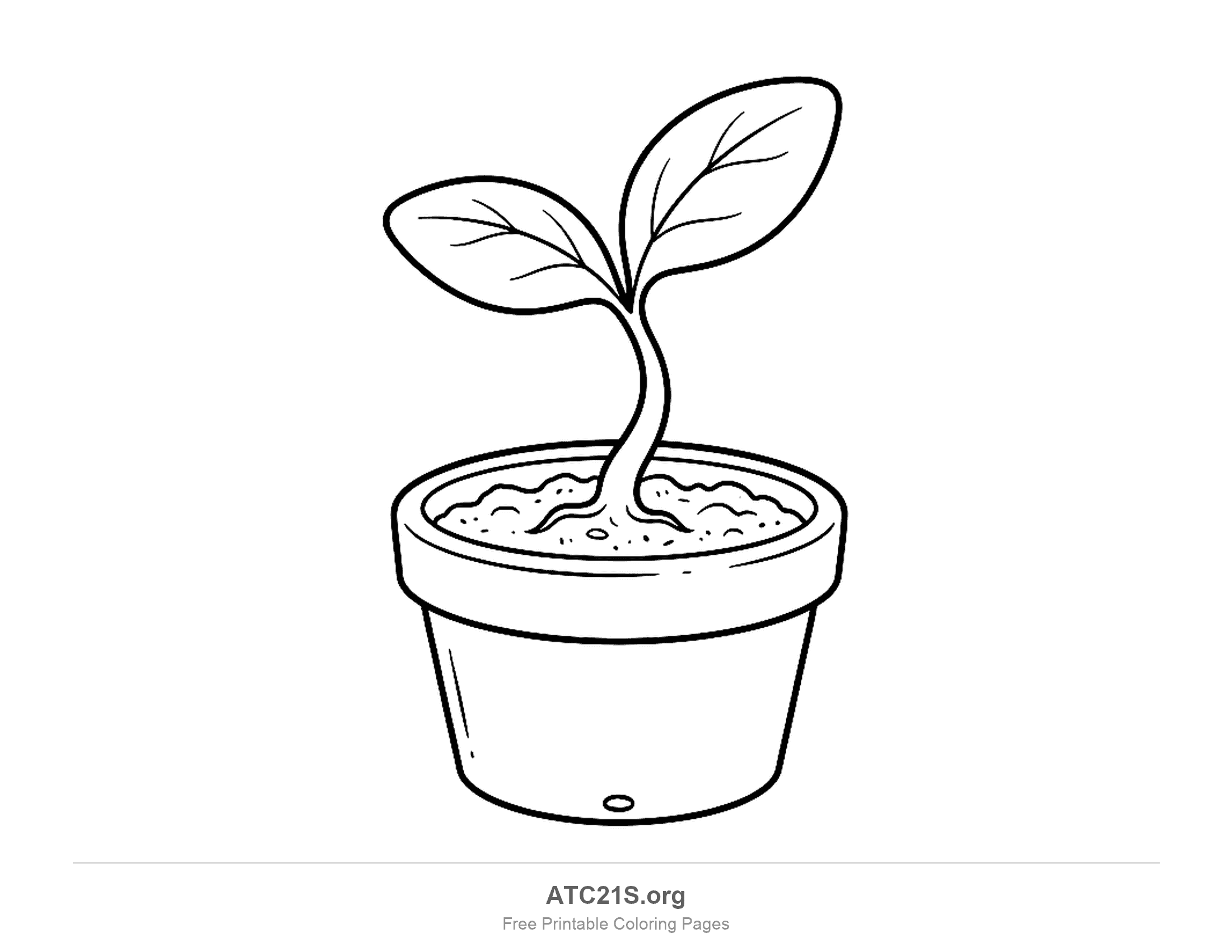 Plant coloring page