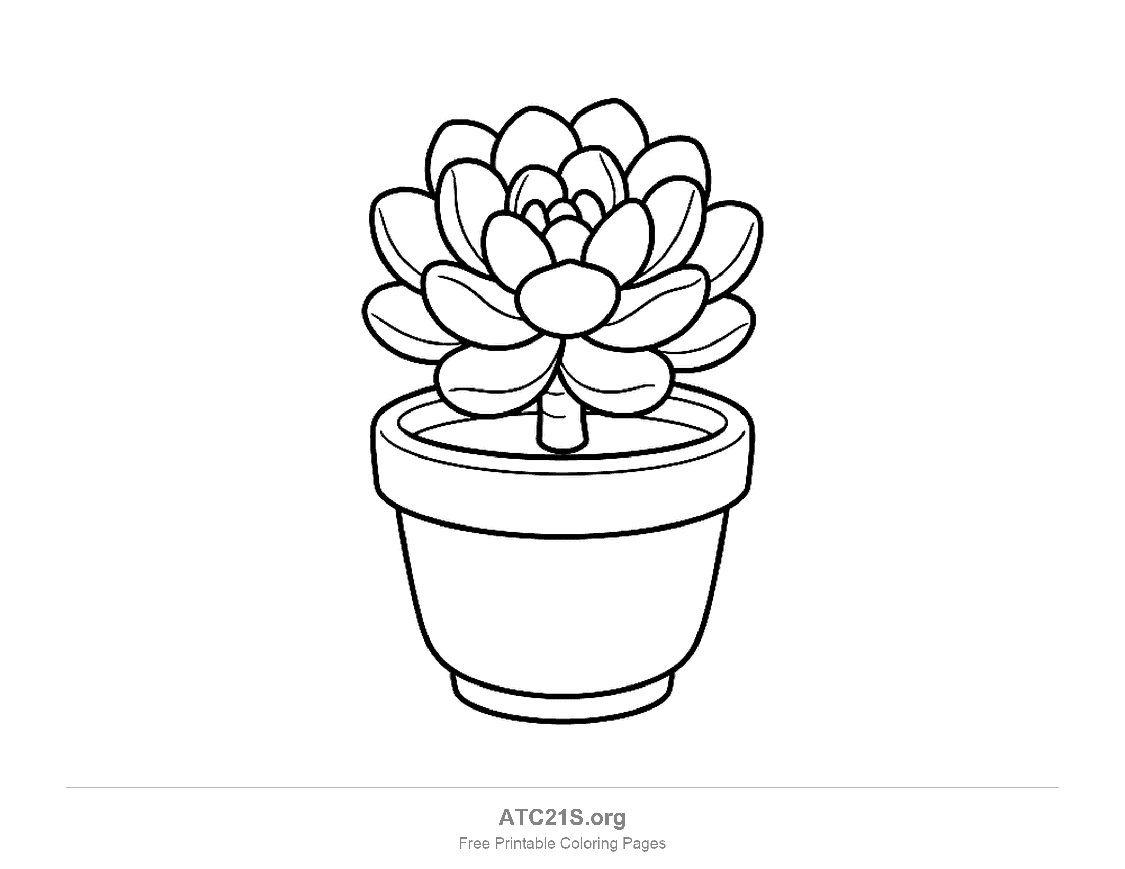 Succulent with plump rounded leaves layered into a flower-like rosette on a short stem, in a flowerpot with a wide rim, simple plant coloring page for preschoolers