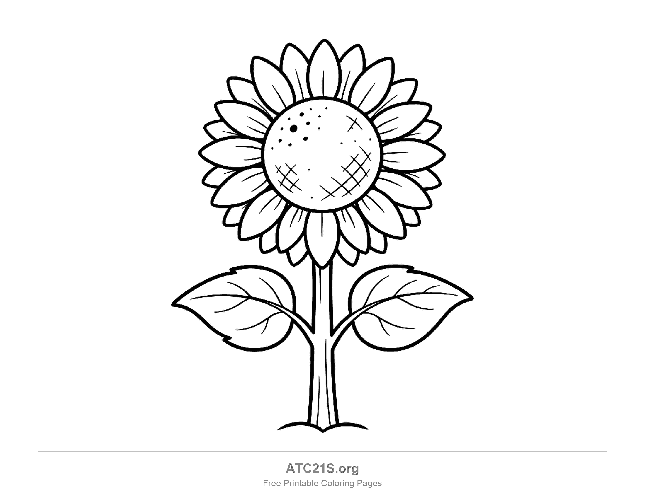 Sunflower plant with a big bloom of pointed petals around a dotted, criss-crossed centre, a straight stem and two broad leaves on a mound of earth, plant coloring page