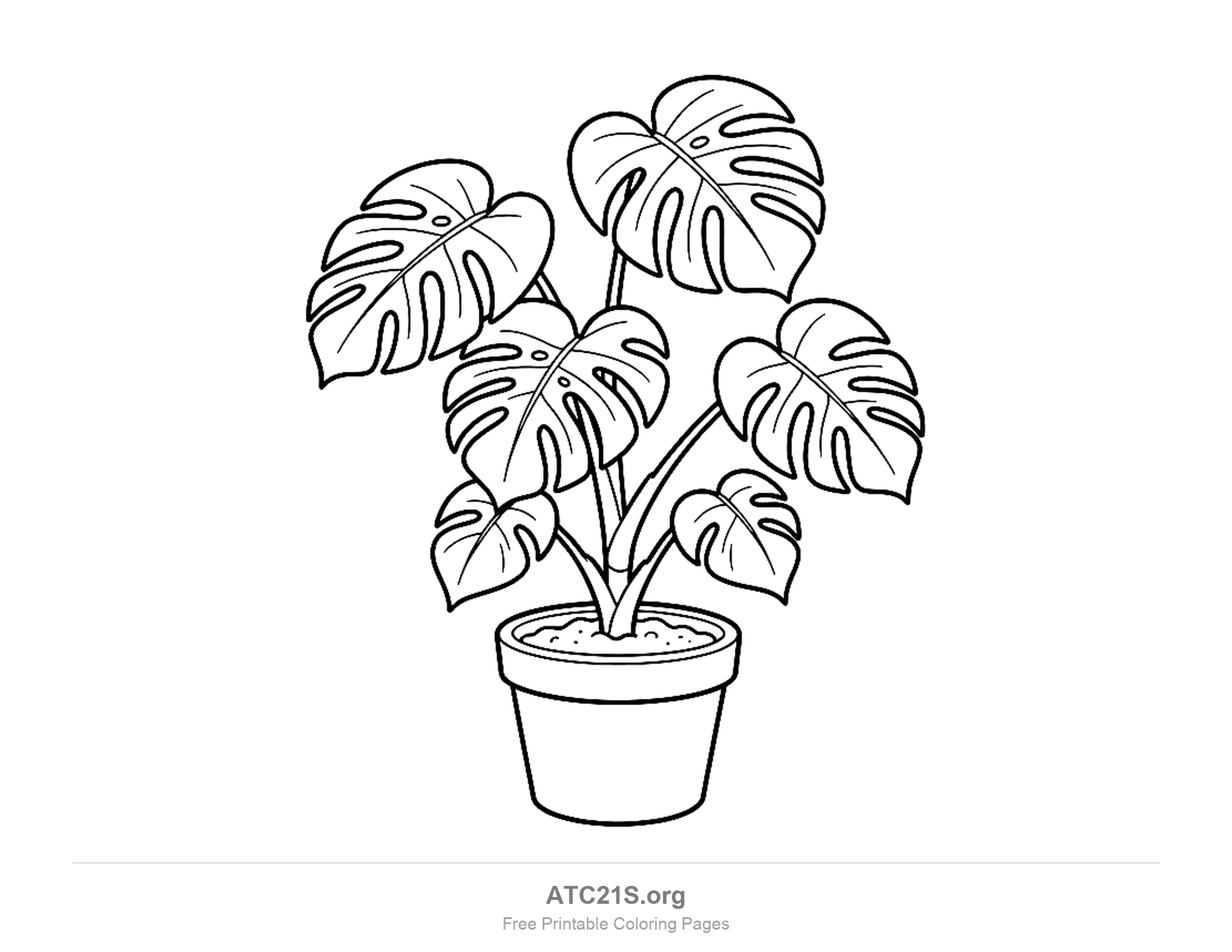 Monstera houseplant with seven big heart-shaped leaves cut with deep splits and holes, on long stalks in a pot of soil, printable plant coloring page