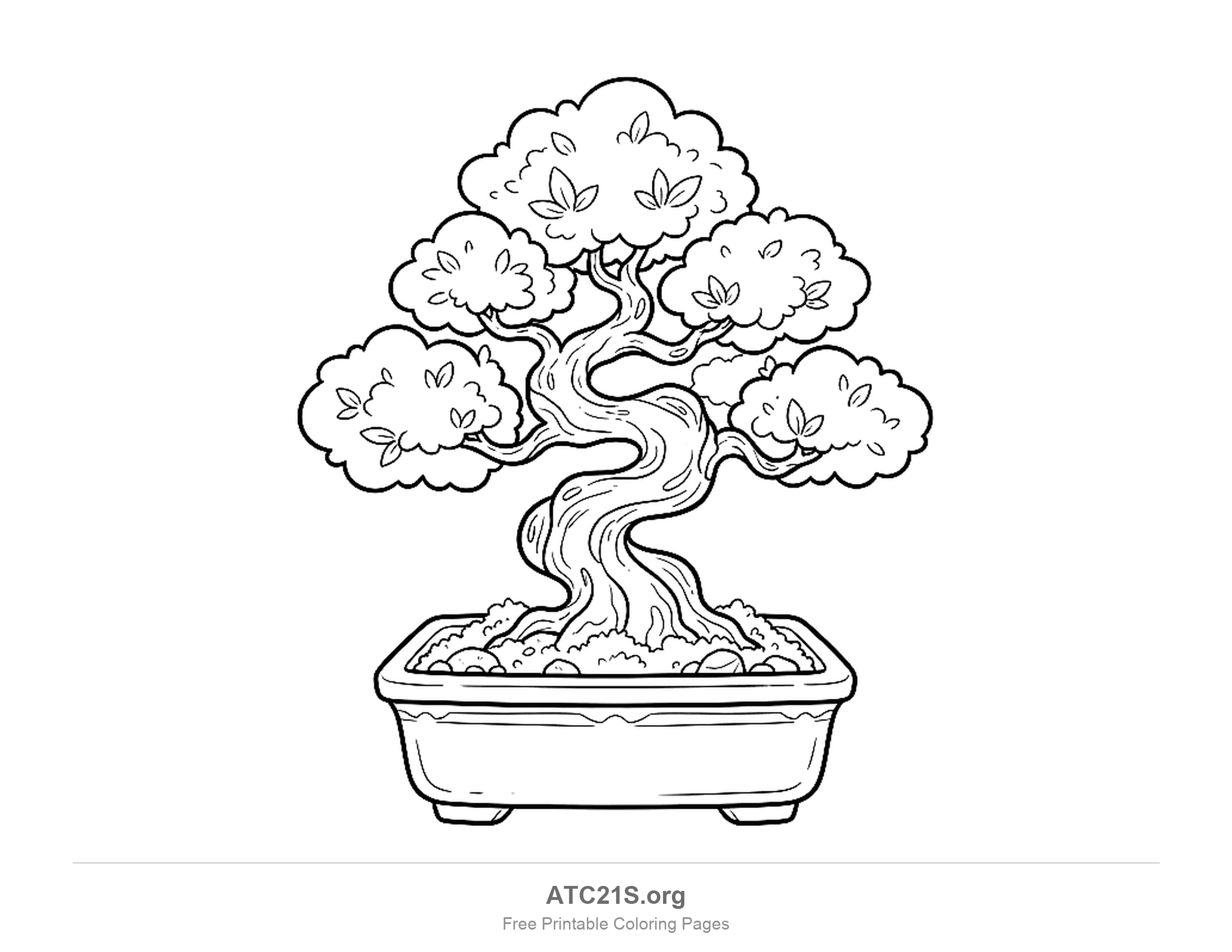 Bonsai tree with a twisting swirl-patterned trunk and puffy cloud-shaped clumps of leaves, in a shallow footed tray with pebbles on the soil, detailed plant coloring page