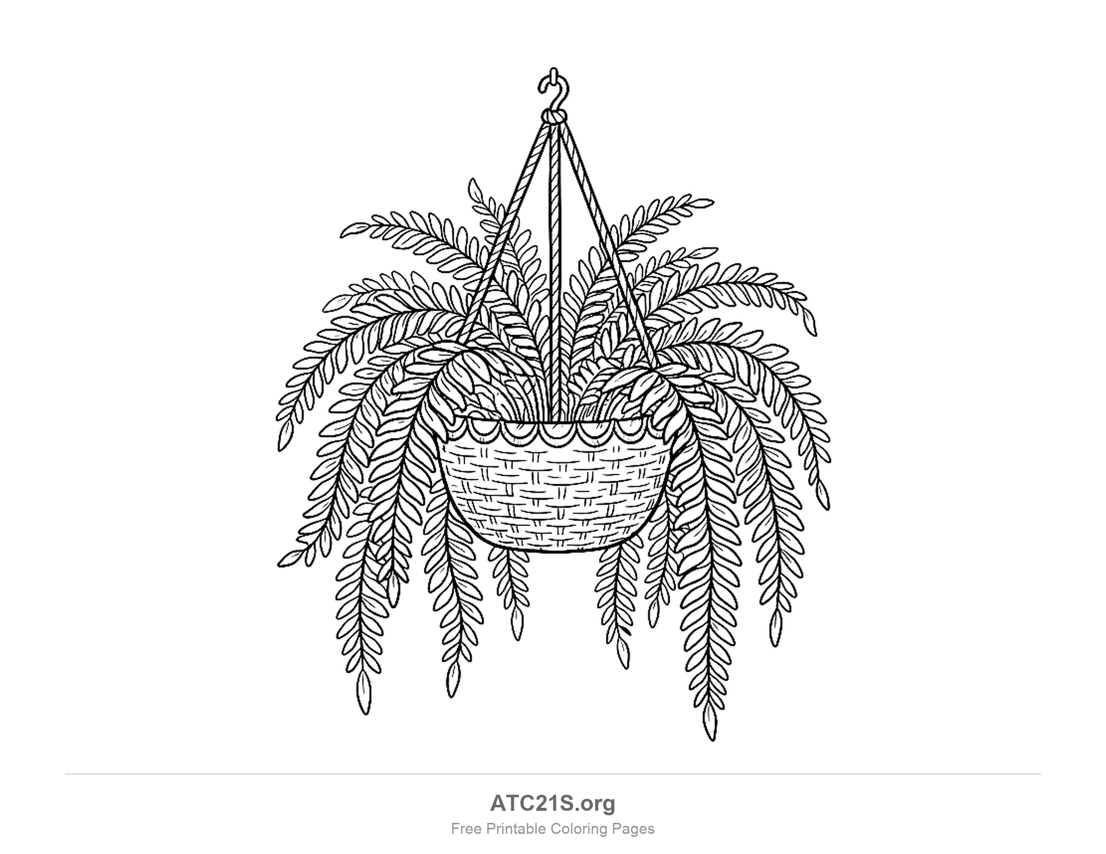 Fern with long trailing fronds full of small leaflets spilling from a woven basket with a scalloped rim, hung from twisted ropes on a hook, detailed plant coloring page for older kids