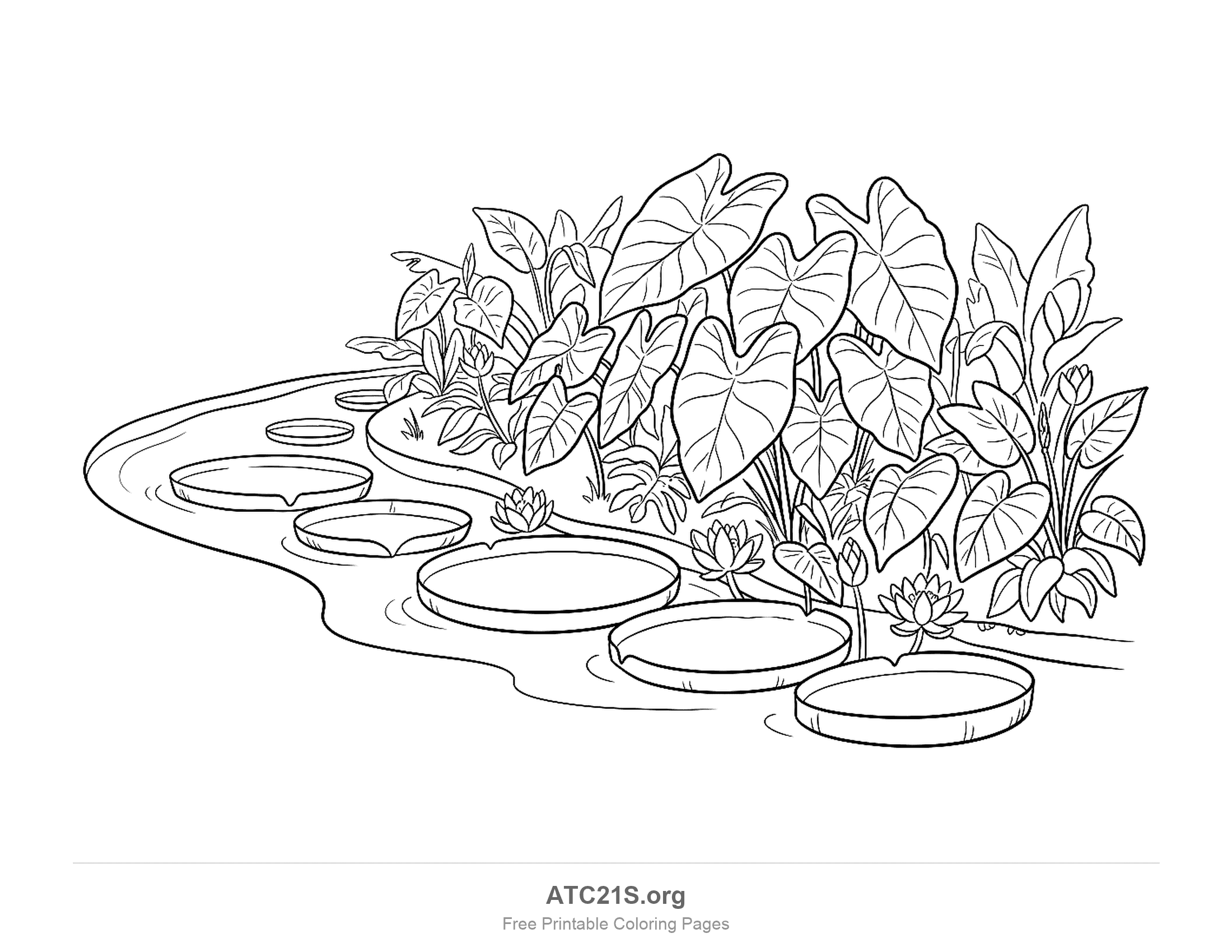 Rainforest coloring page