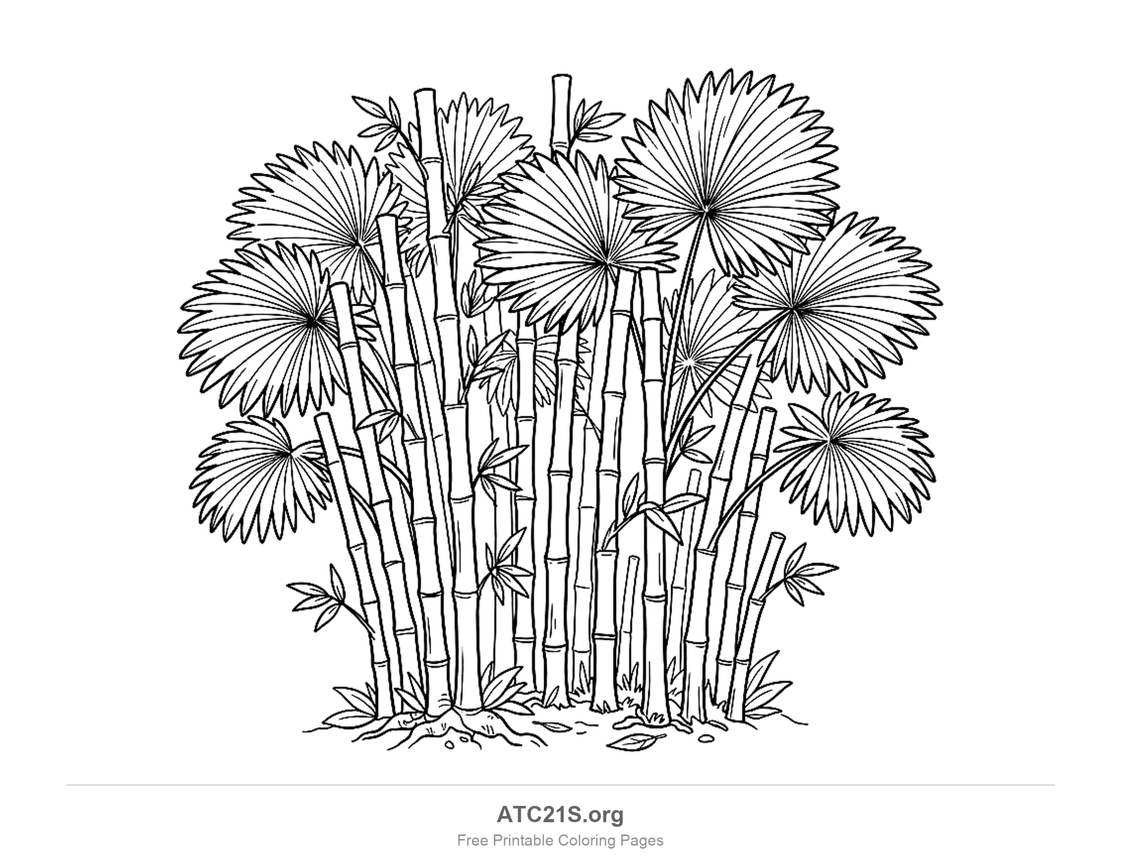 Clump of tall jointed bamboo canes with small pointed leaves, mixed with fan palms whose round pleated leaves open like paper fans, growing from a mound of earth, rainforest coloring page for kids