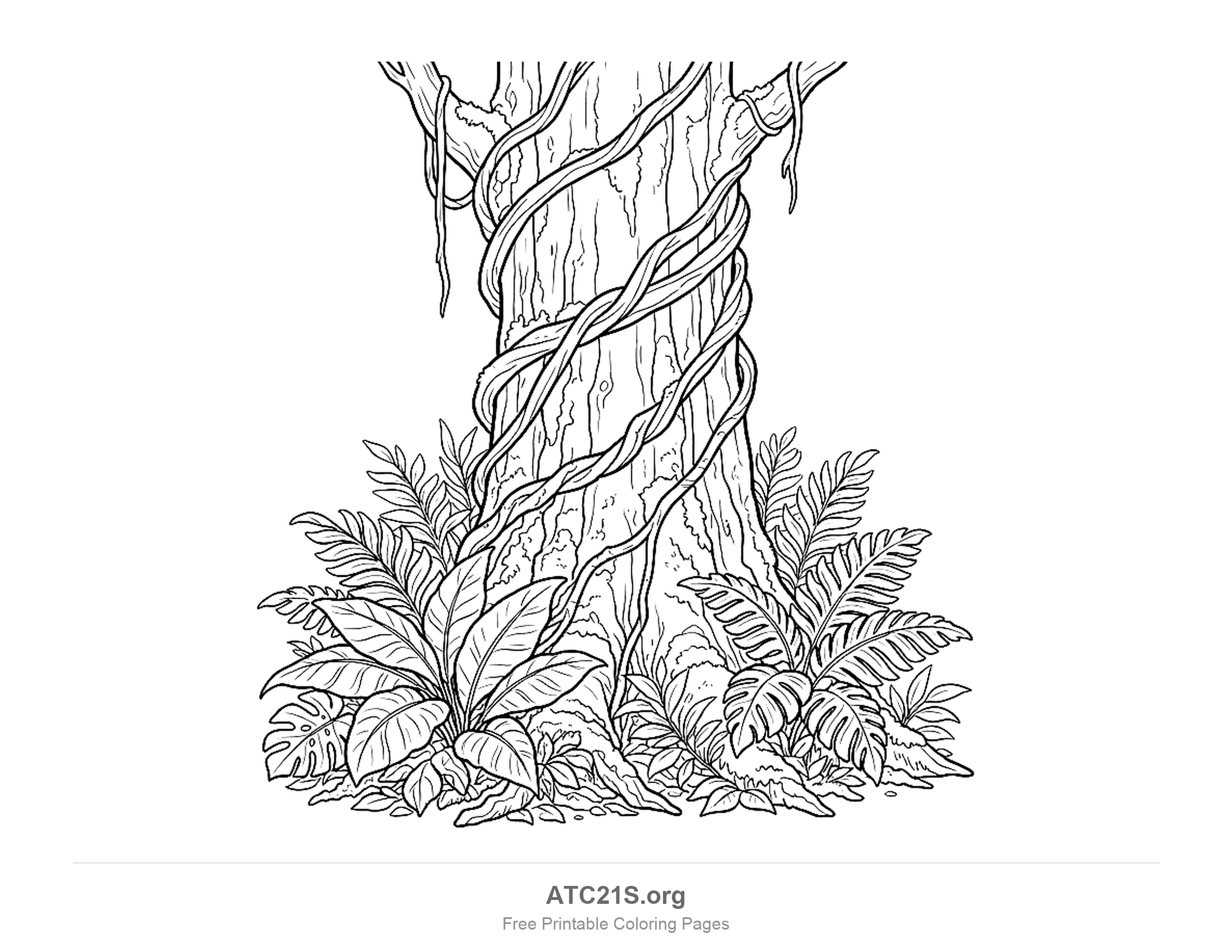 Close-up of a giant jungle tree trunk with two thick vines twisting around it, mossy bark, roots hanging from the branches and ferns, monstera and broad leaves around its base, rainforest coloring page for school-age kids