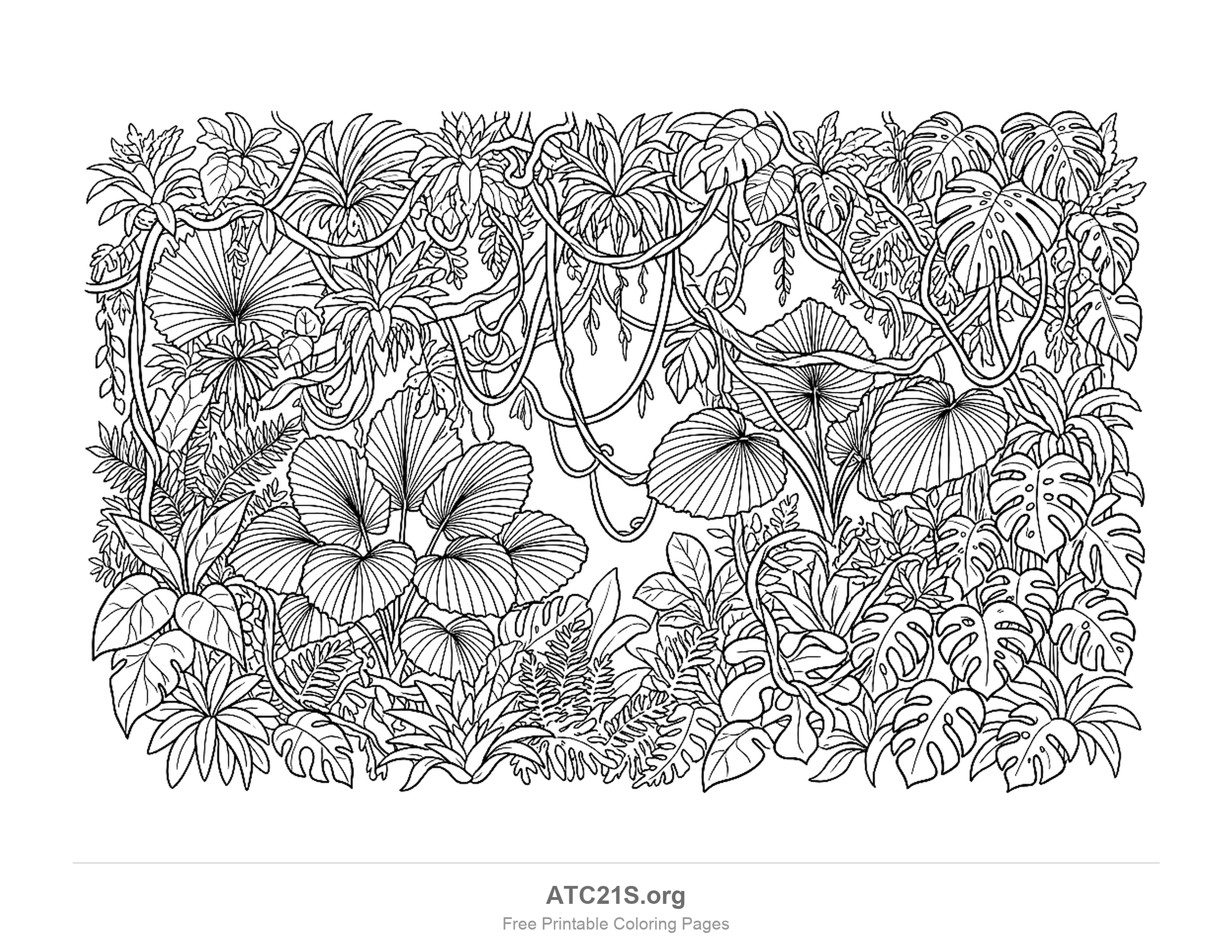 Whole wall of jungle with looping vines hanging between the trees, round fan leaves, holey monstera leaves, bromeliads in the branches and ferns crowding the ground, very detailed jungle coloring page for older kids and adults