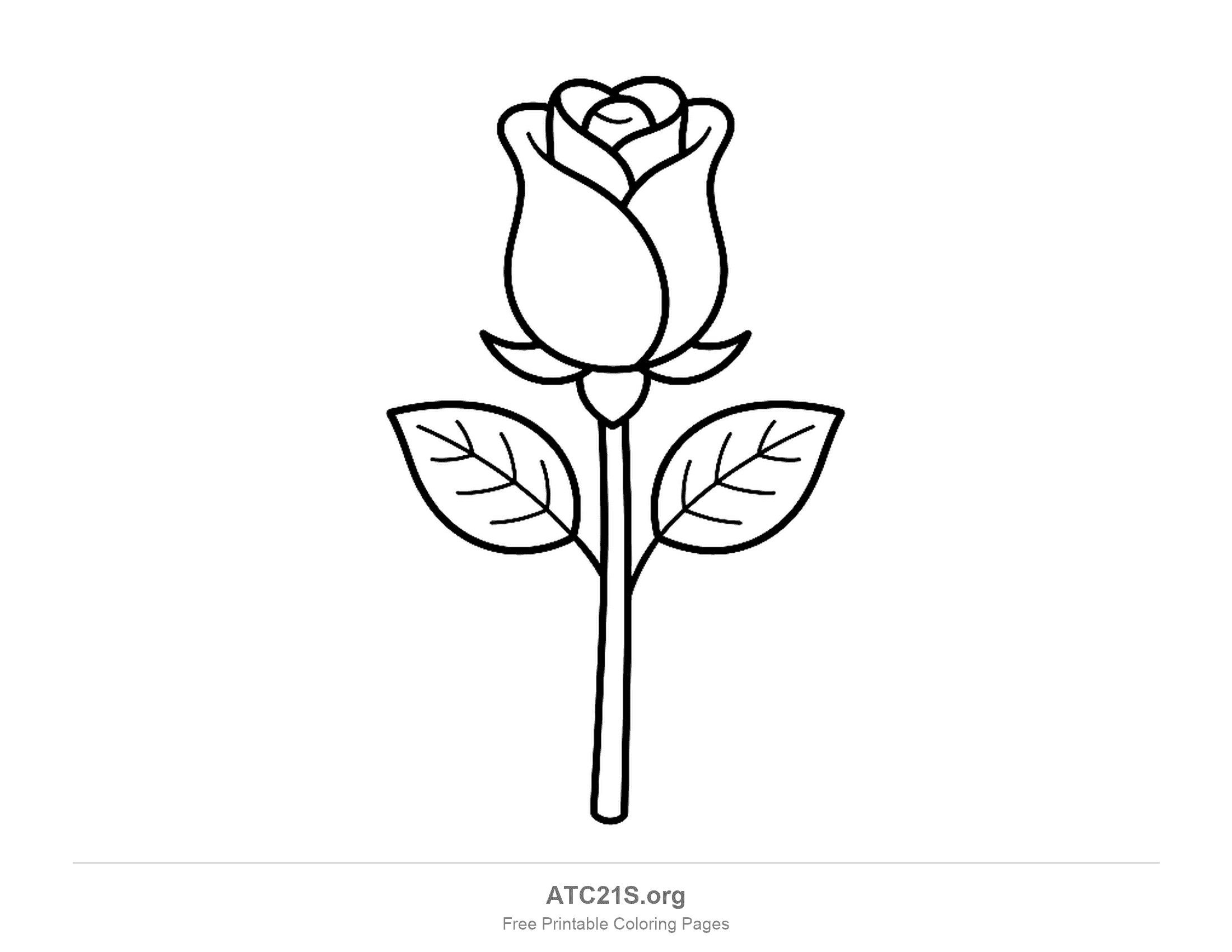 Rose coloring page