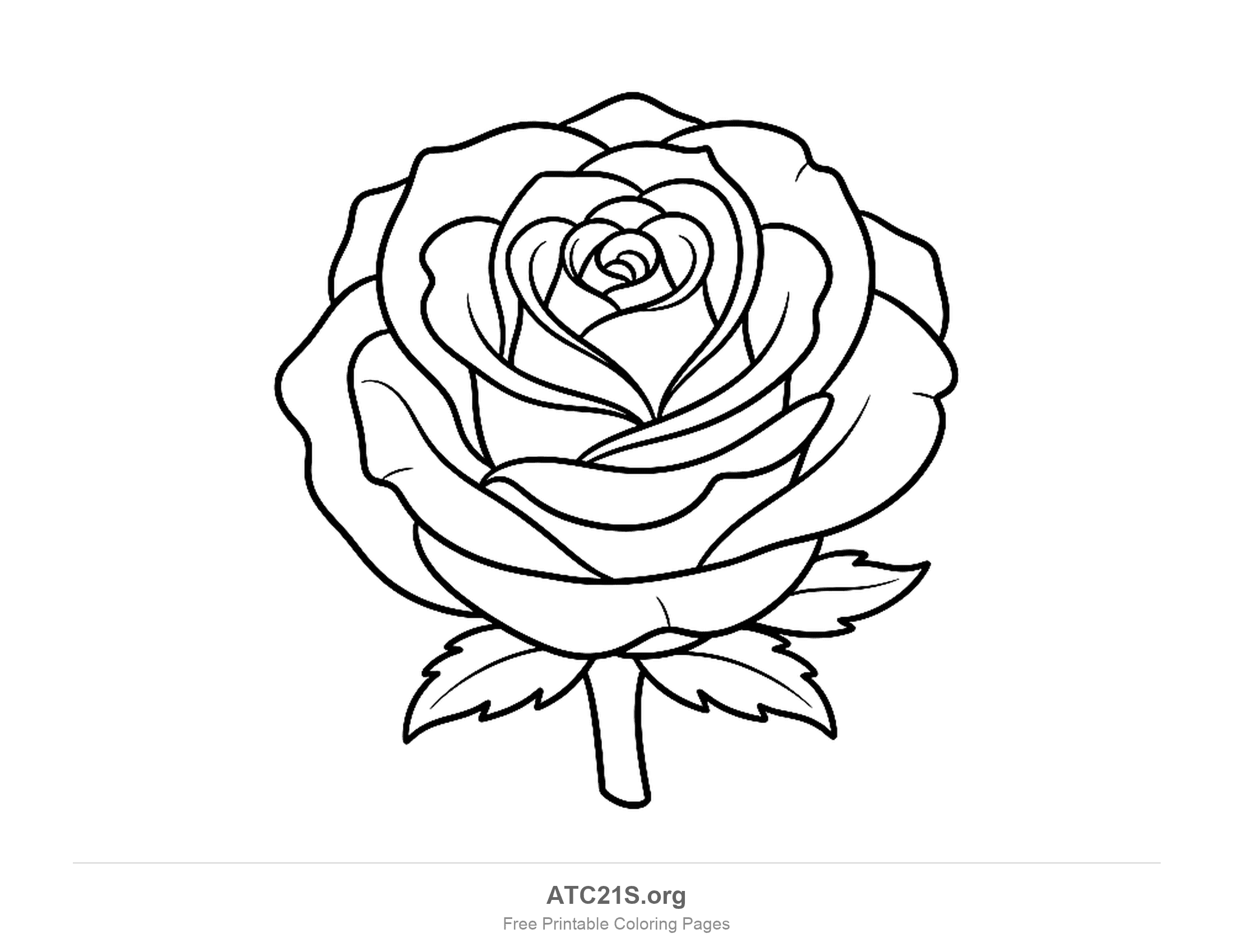 Compact rose seen from the front with layers of petals packed round a curled centre, a short stem and two small toothed leaves, rose coloring page