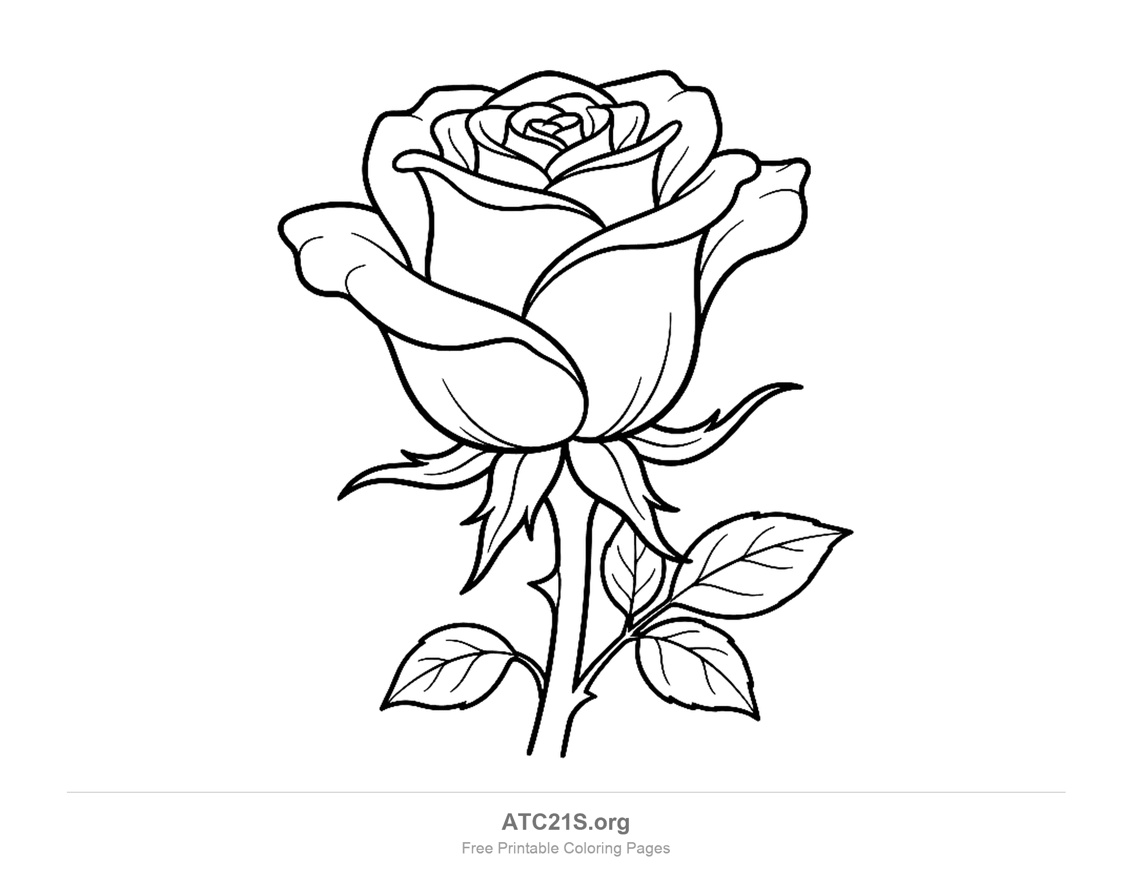 Half-open rose seen from the side with outer petals folding back, long pointed sepals beneath the flower, a thorny stem and veined leaves, coloring page for kids