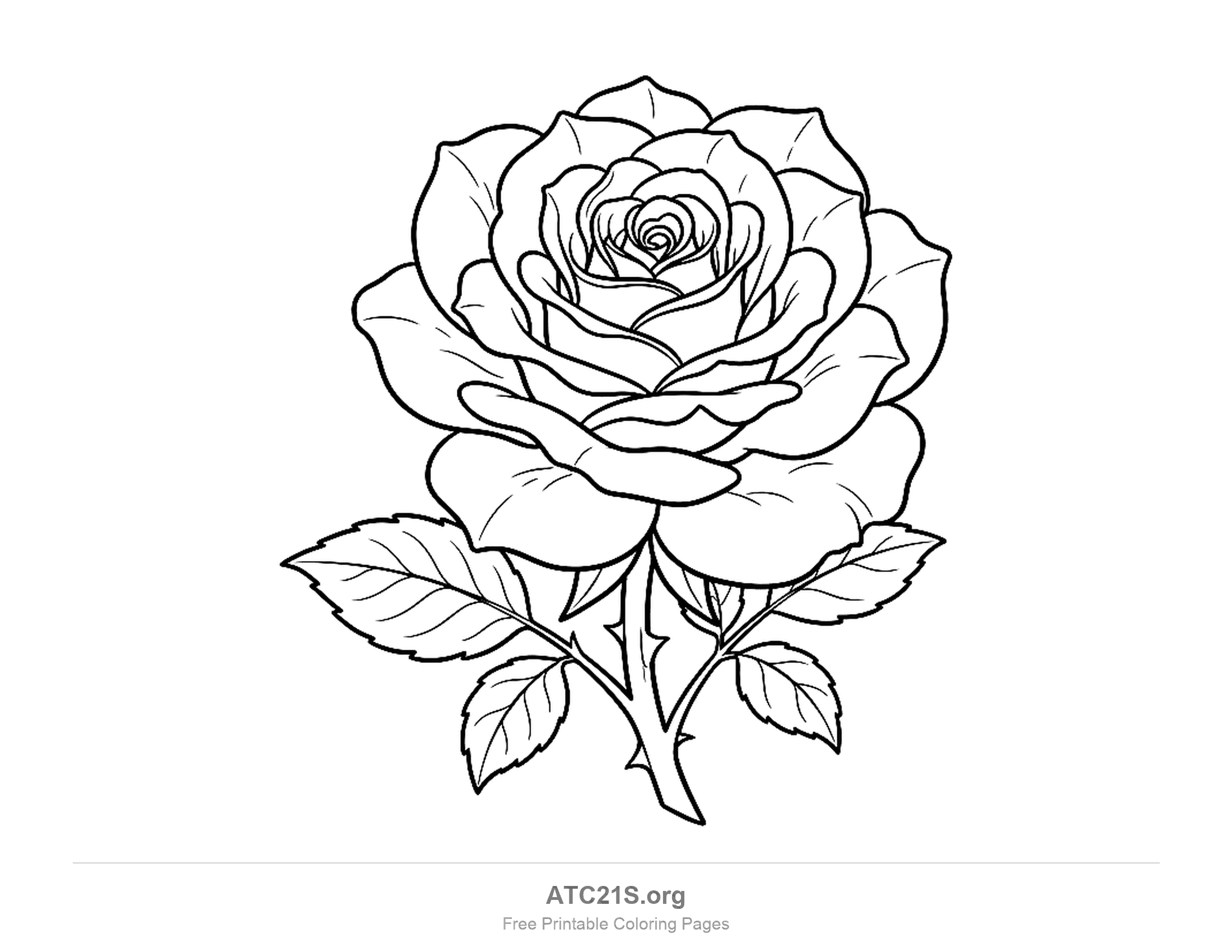 Fully open rose with many layered petals on a branching thorny stem with five toothed, veined leaves, detailed rose coloring page
