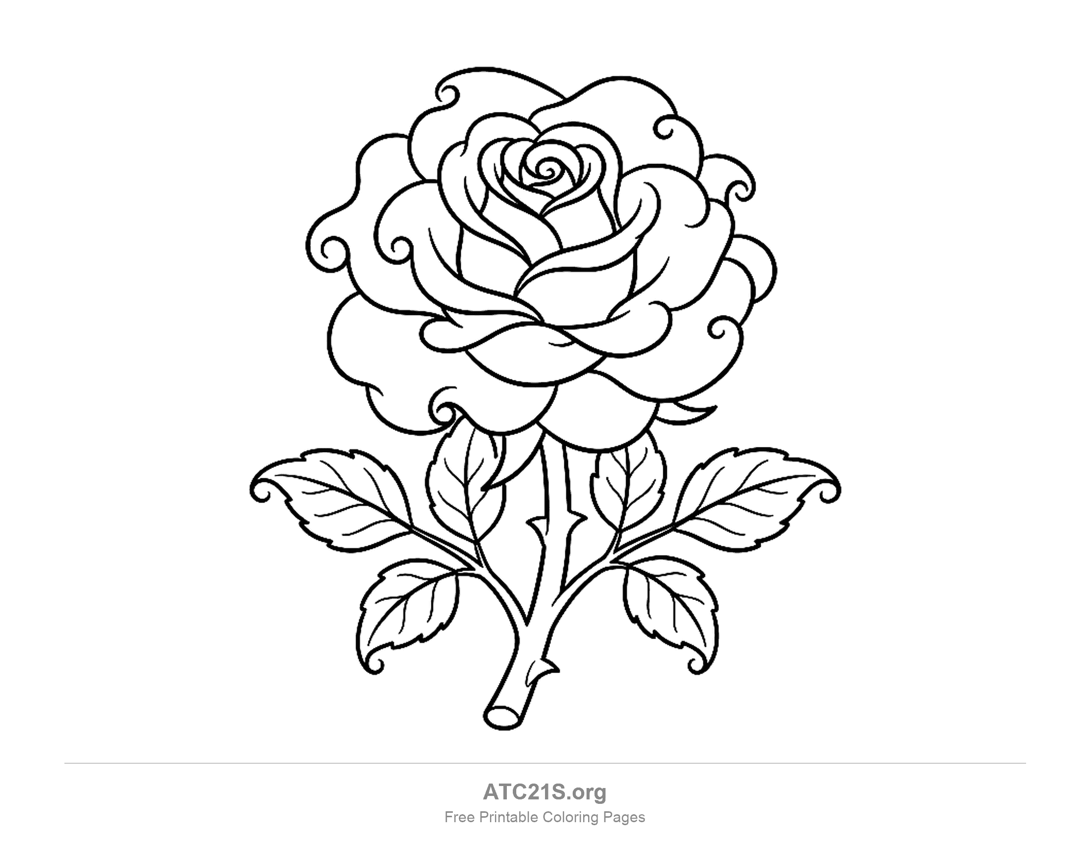 Ornate rose with petal edges curling into small swirls, a spiral centre, thorns on the stem and toothed leaves with curled tips, detailed coloring page for older kids