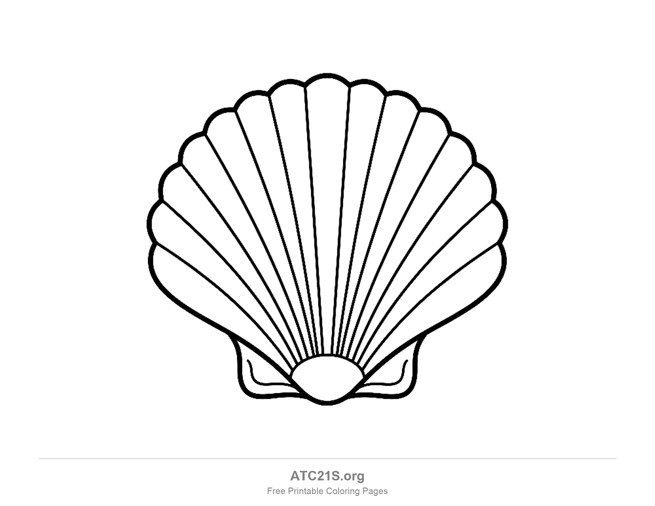 Seashell coloring page
