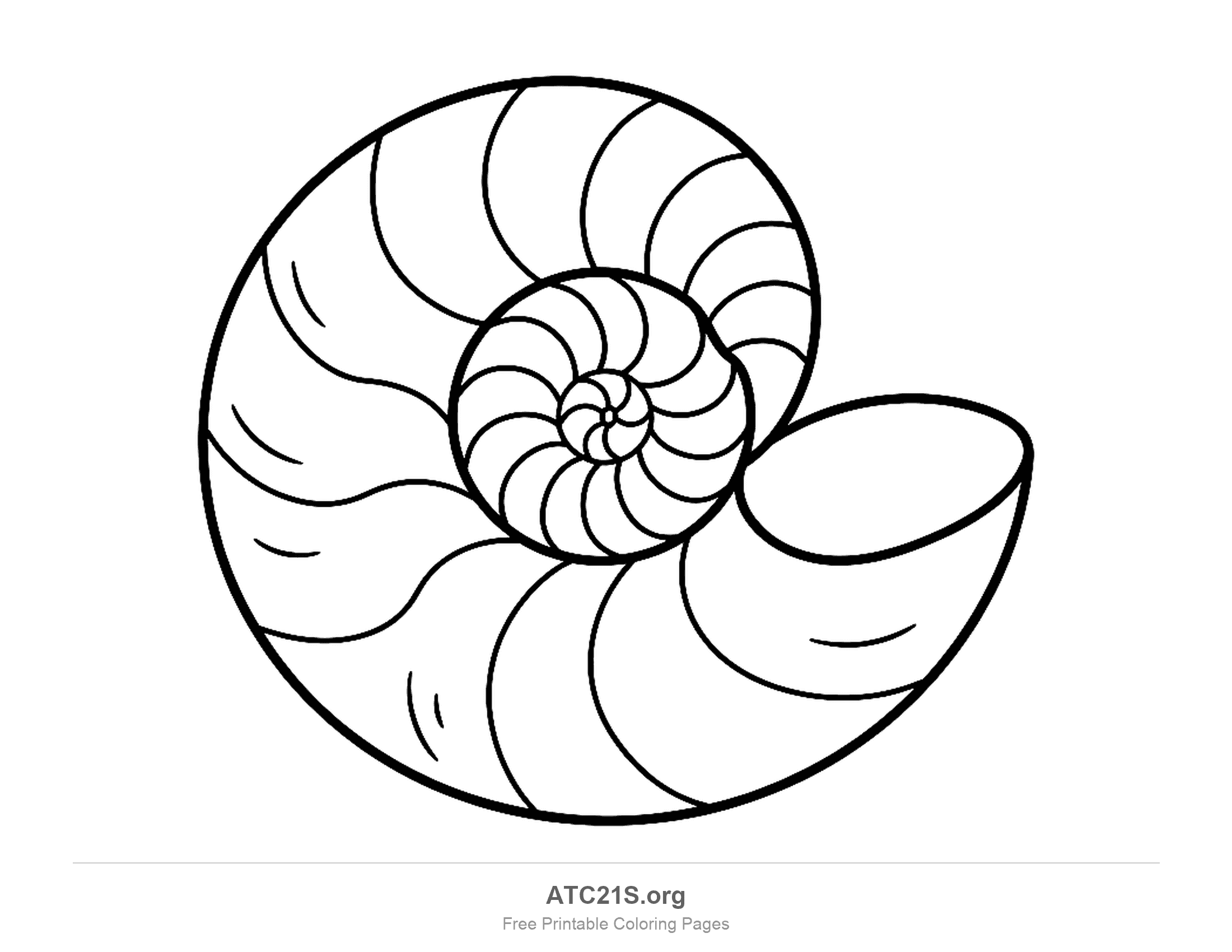 Big round coiled nautilus shell with curved chamber walls spiralling down to a tiny centre and a wide opening on one side, seashell coloring page for school-age kids