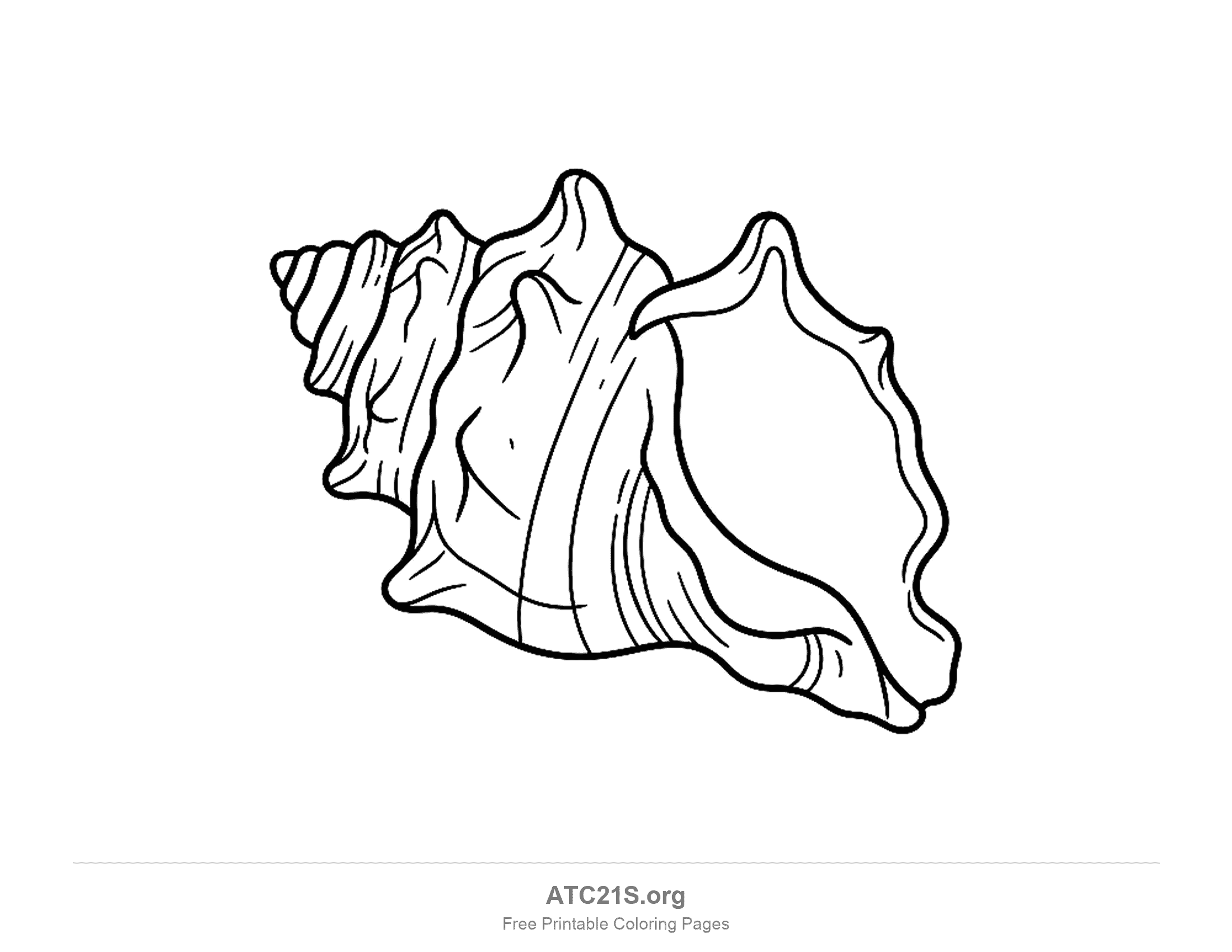 Conch shell lying on its side with a ringed pointed tip, a row of knobs along its shoulder and a wide wavy lip flaring open, detailed seashell coloring page for kids
